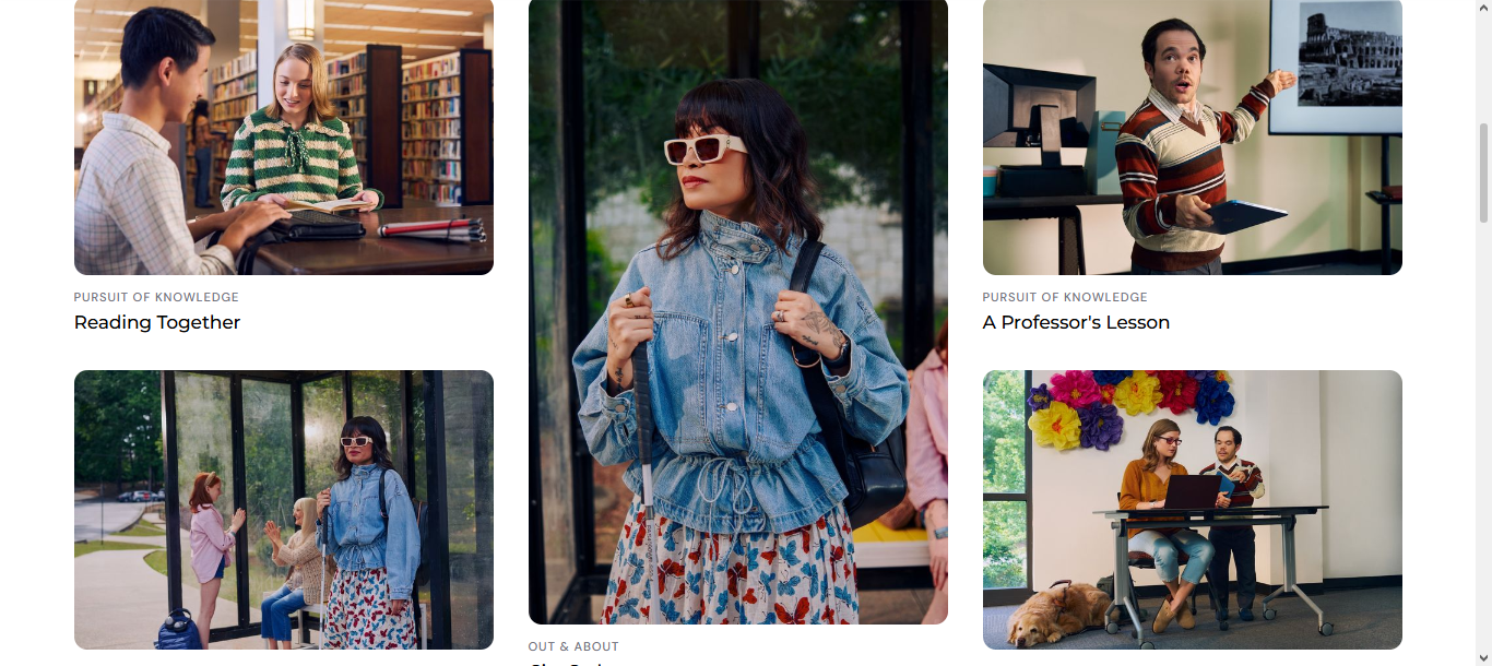 Screenshot of the website All in Frame with a mosaic of 5 pictures featuring a blind woman with glasses, two persons reading on a library, a professor giving a class and a feedback session between a woman sat with a guide dog at one side and a man standing near and a desk