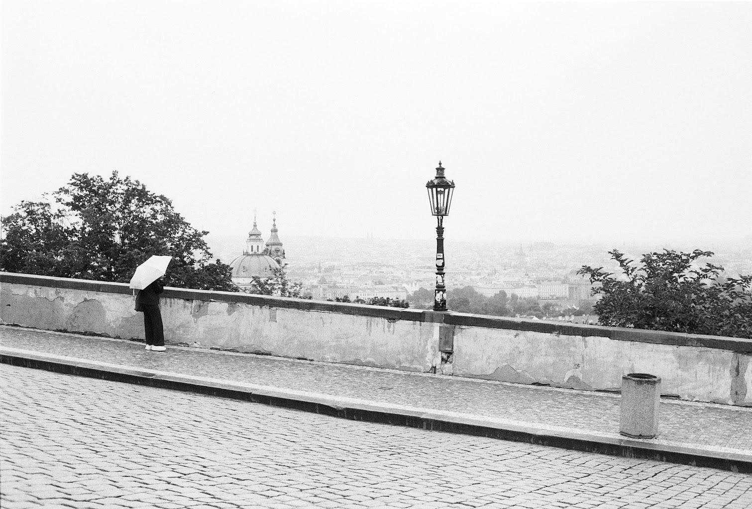 A person standing with an umbrella on a cobblestone path, overlooking a misty cityscape. Street lamp and foliage are visible, creating a tranquil, monochromatic scene.