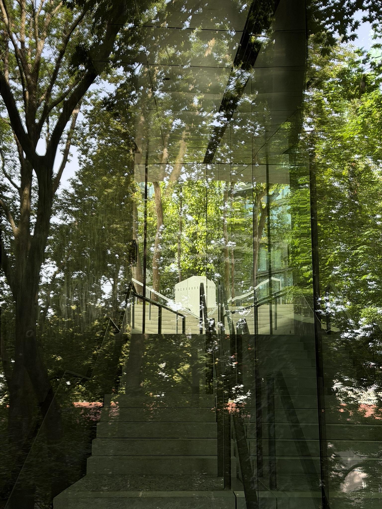Reflection of trees and dense foliage across a large glass façade. A broad stone staircase, glass walls and railings overlap with the reflected greenery, making interior and exterior space difficult to distinguish.