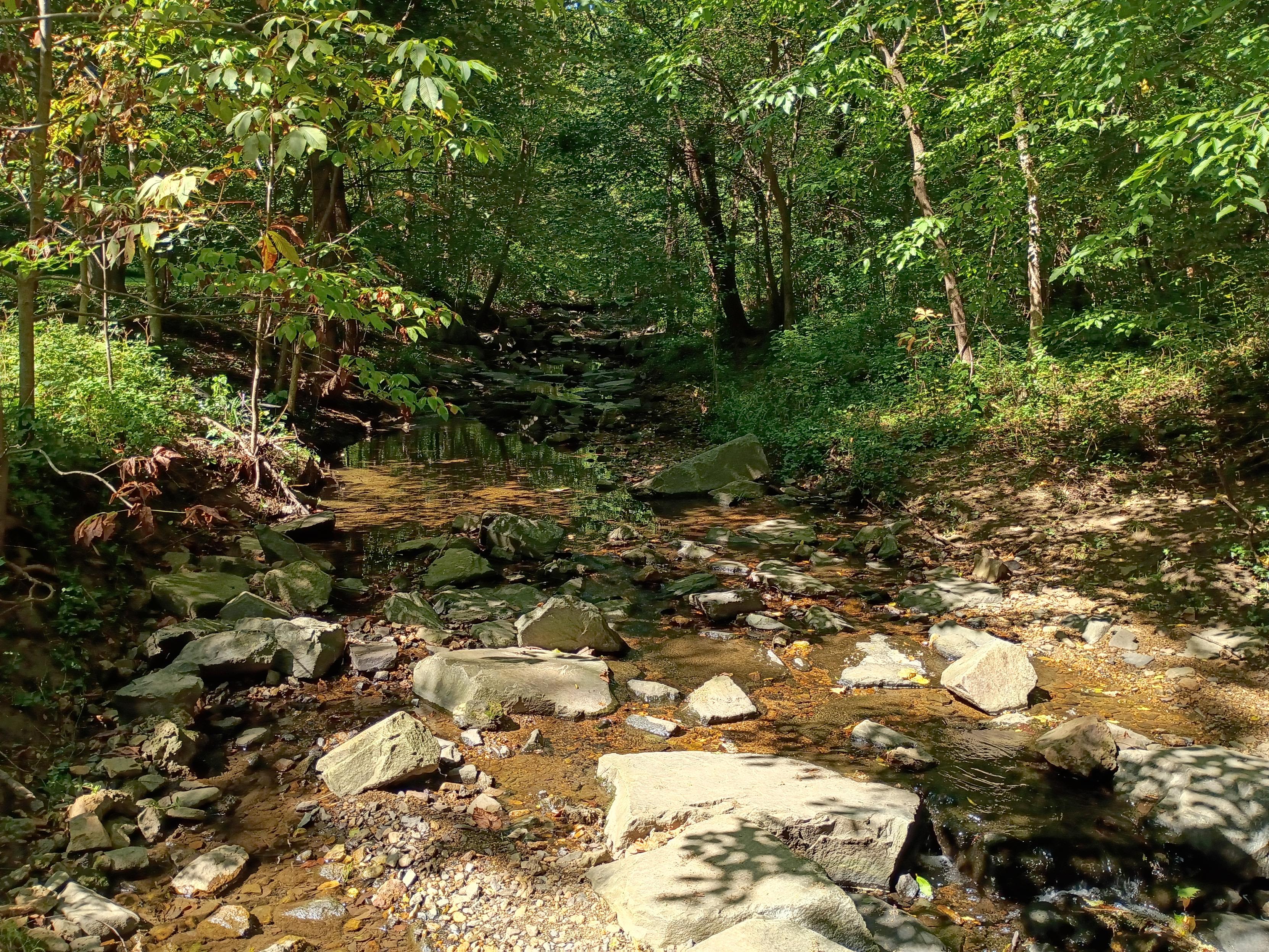 A thin water creek, with big stones laid within and around it, stretches from the front center of the pic to the far distance. The creek is surrounded by tall trees and greenery.