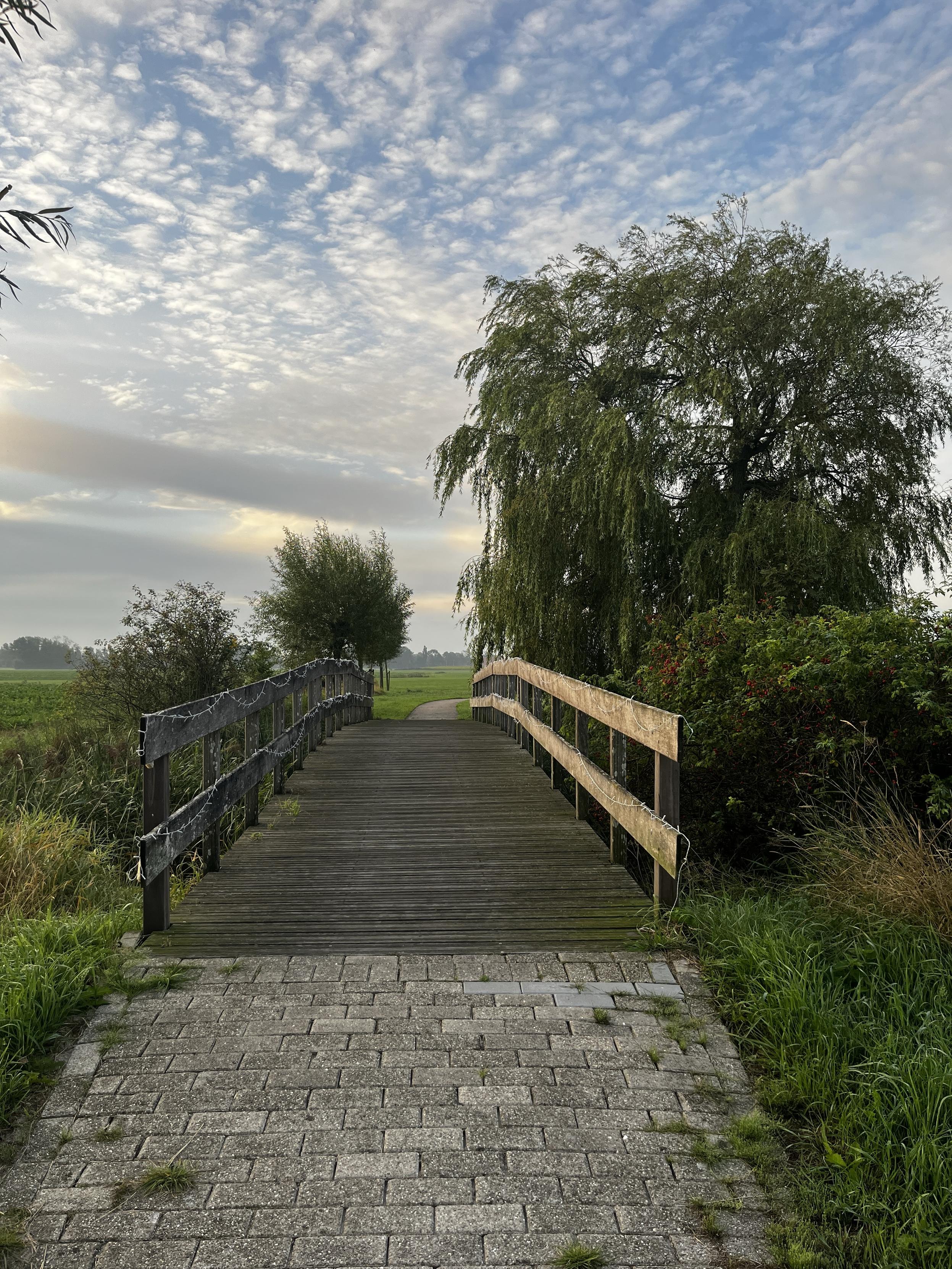Wooden bridge, a cobblestone path leading up to it. To the right, a green willow. The sky is full of flocks of small clouds