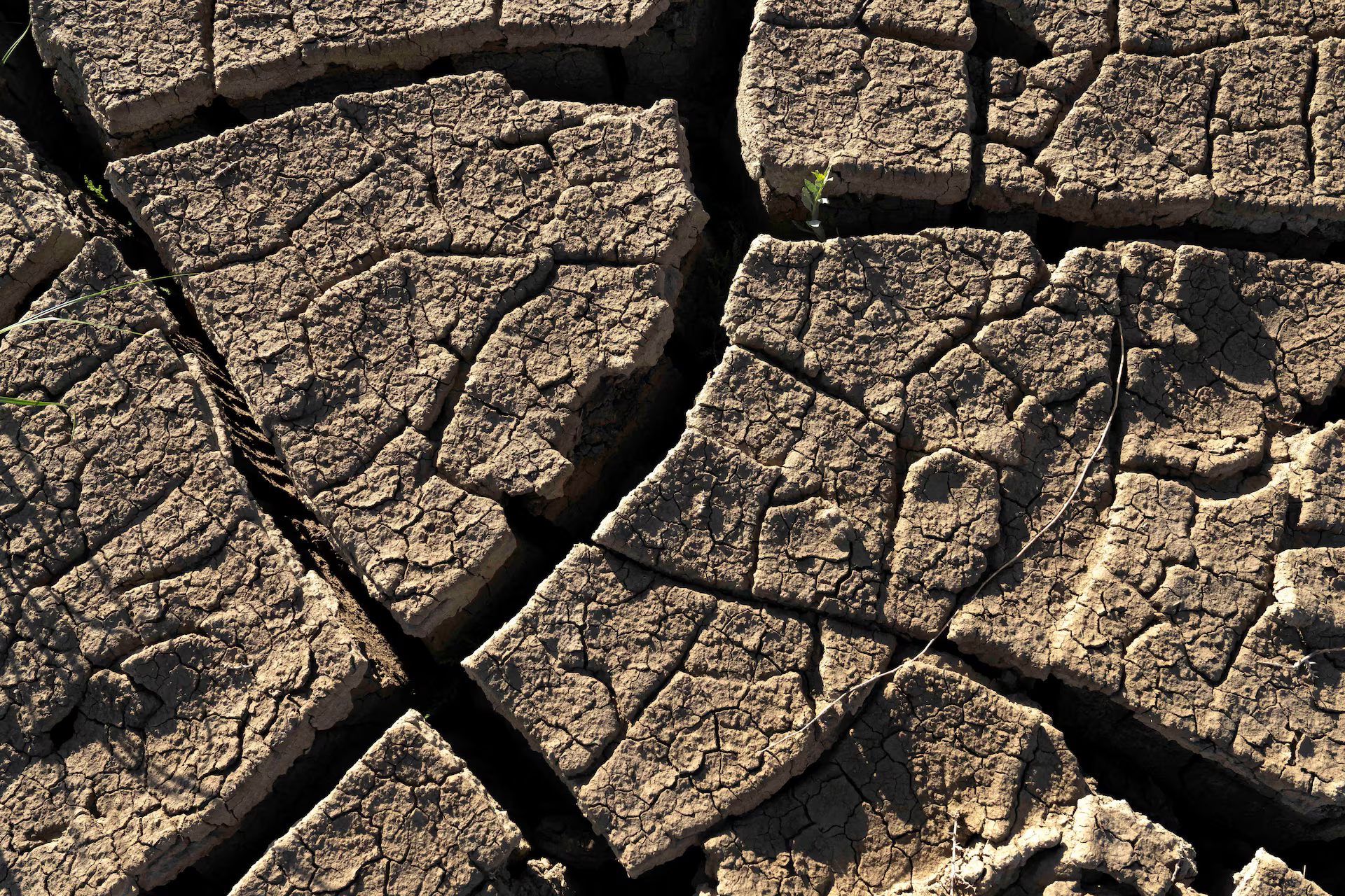 A dried section of Lake Powell. REUTERS/Rebecca Noble