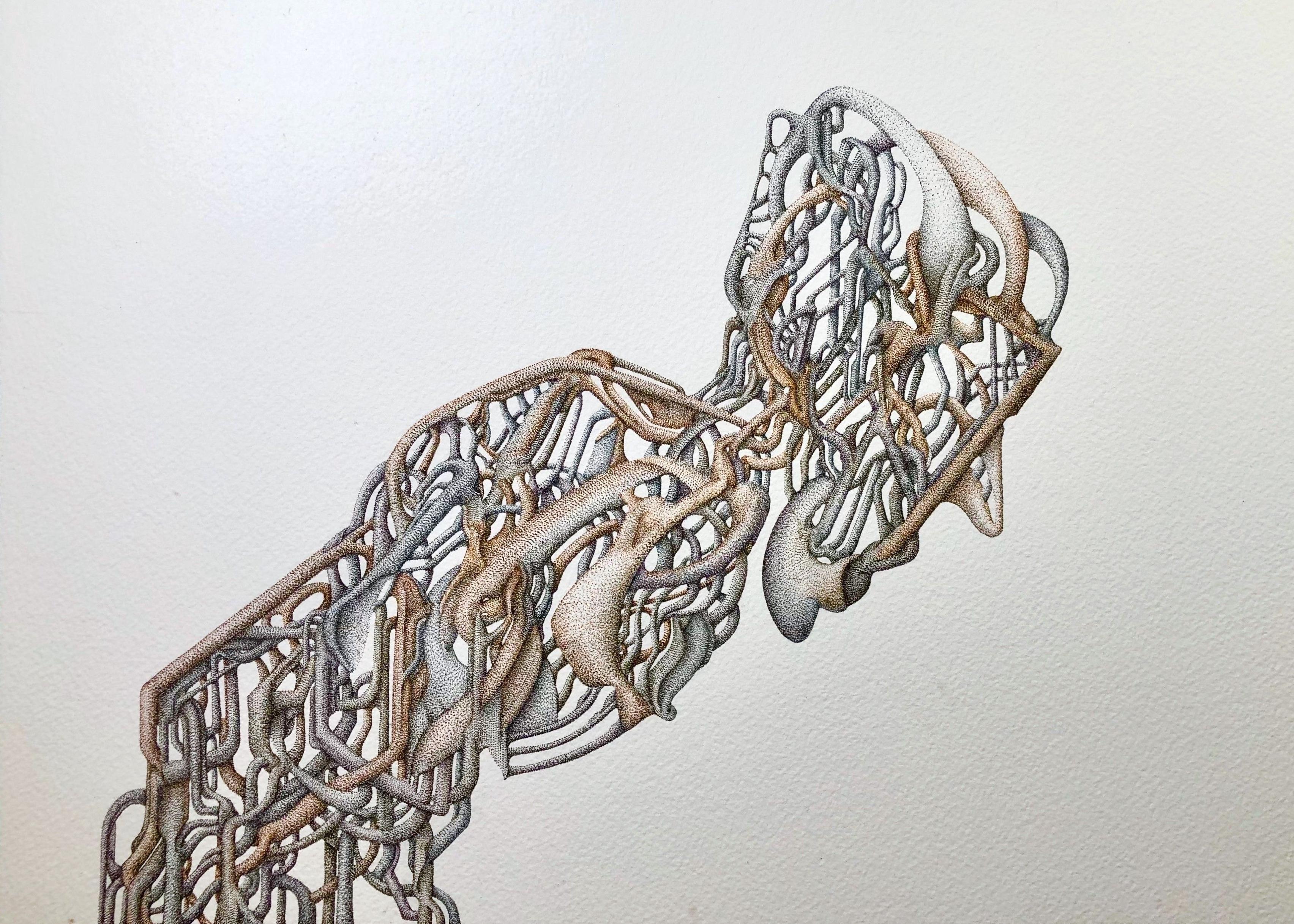 An abstract illustration on paper. Delicate stippling is used to create some sort of crude circulatory system / musculature of a human.