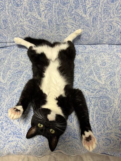 Posted media