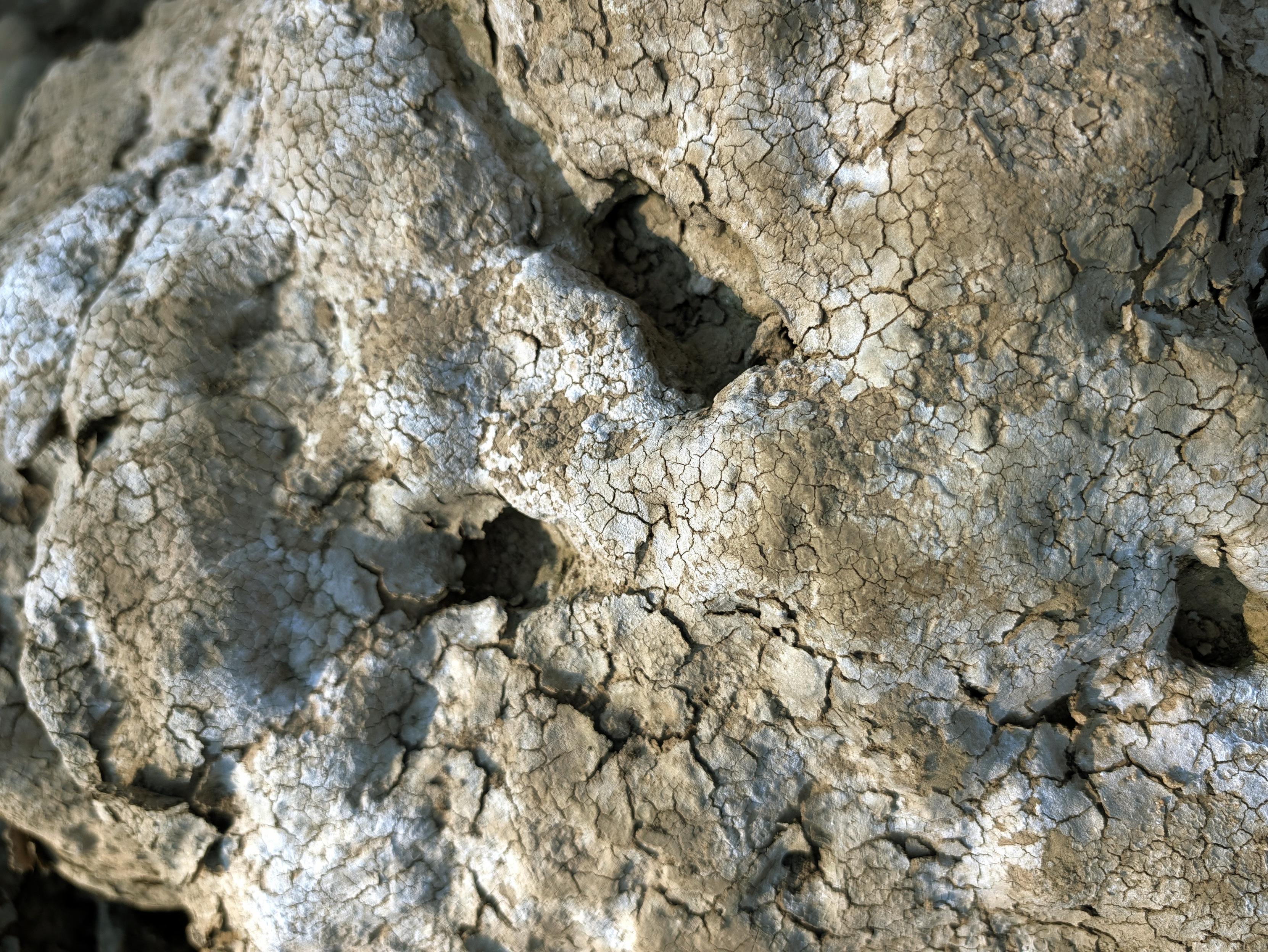 Dried Up