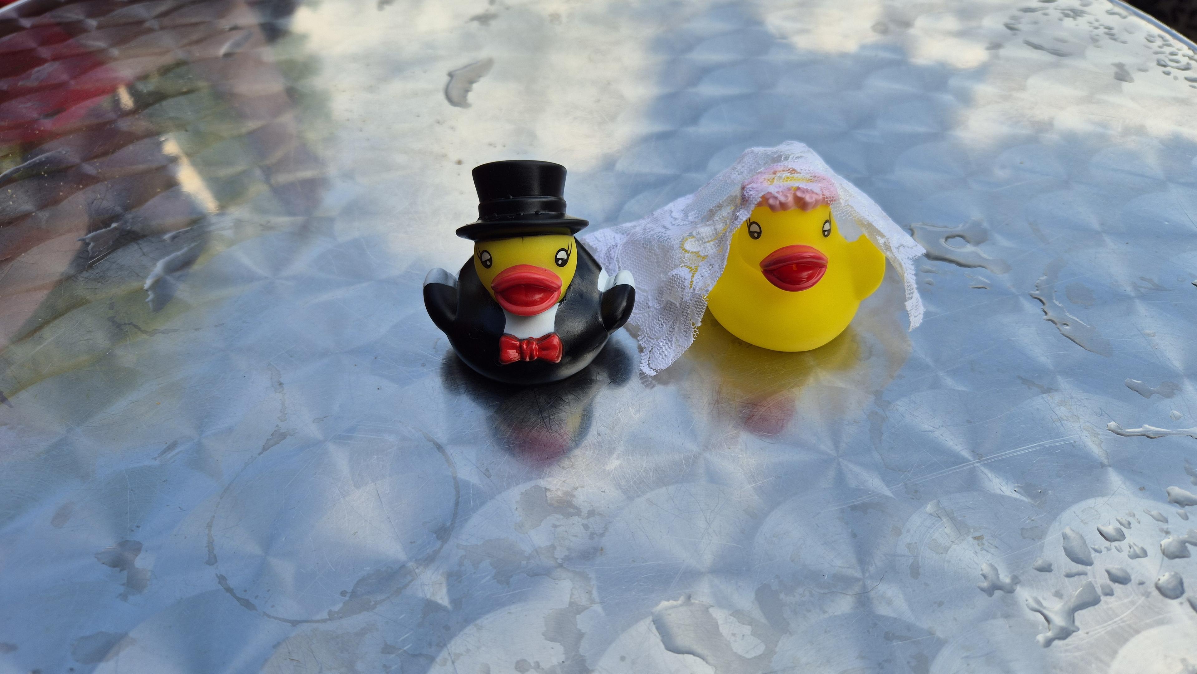 Eine gelbe Plastikente mit weißem Schleier und ein Enterich mit Frack, roter Fliege und Zylinder auf einem runden Metalltisch. Auf ihm sind Regentropfen zu sehen und spiegeln sich blauweiße Wolken. /
A yellow plastic duck wearing a white veil and a drake in a tailcoat, red bow tie and top hat, sitting on a round metal table. Raindrops can be seen on the table, reflecting blue and white clouds.