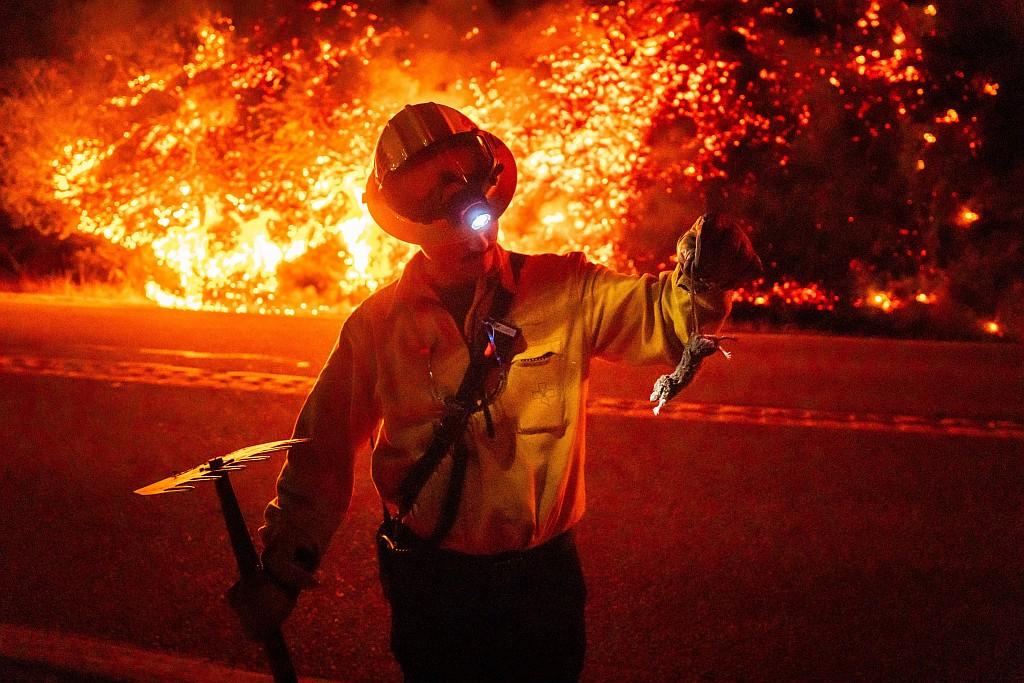 A firefighter rescues an injured animal from the fire.
