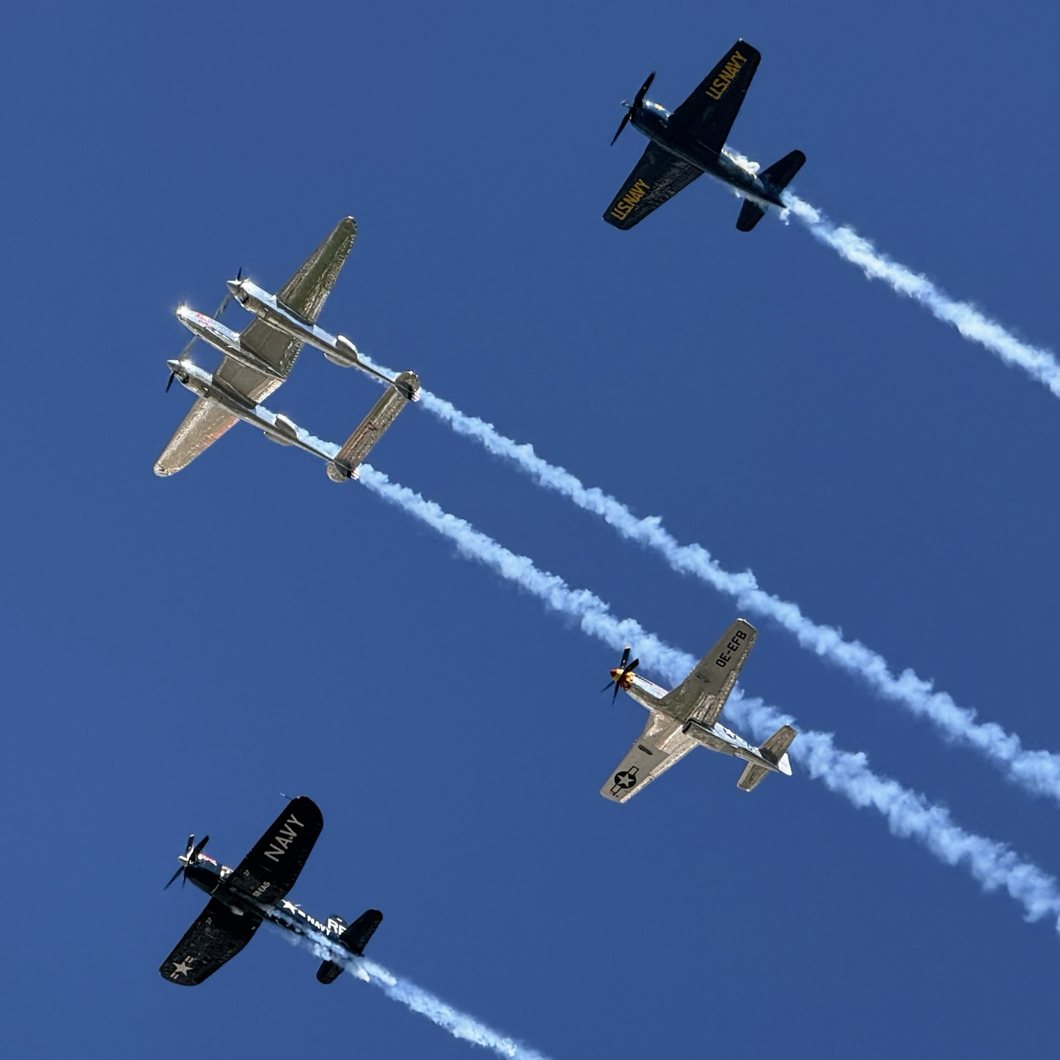 Flying Bulls