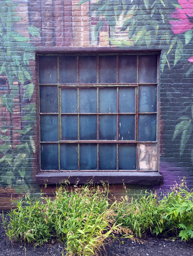 a window with pale dirty panes set into a brick wall painted like a huge bookshelf, green plants below, one pane is broken and replaced with a board