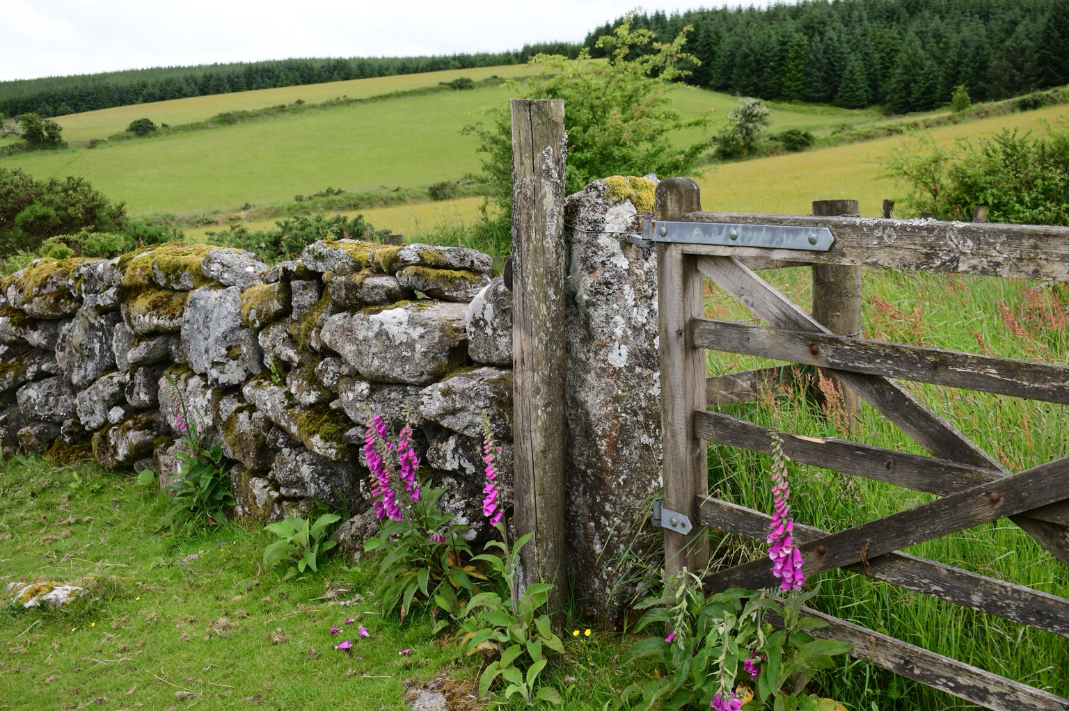 Gate and wall with meadows beyond