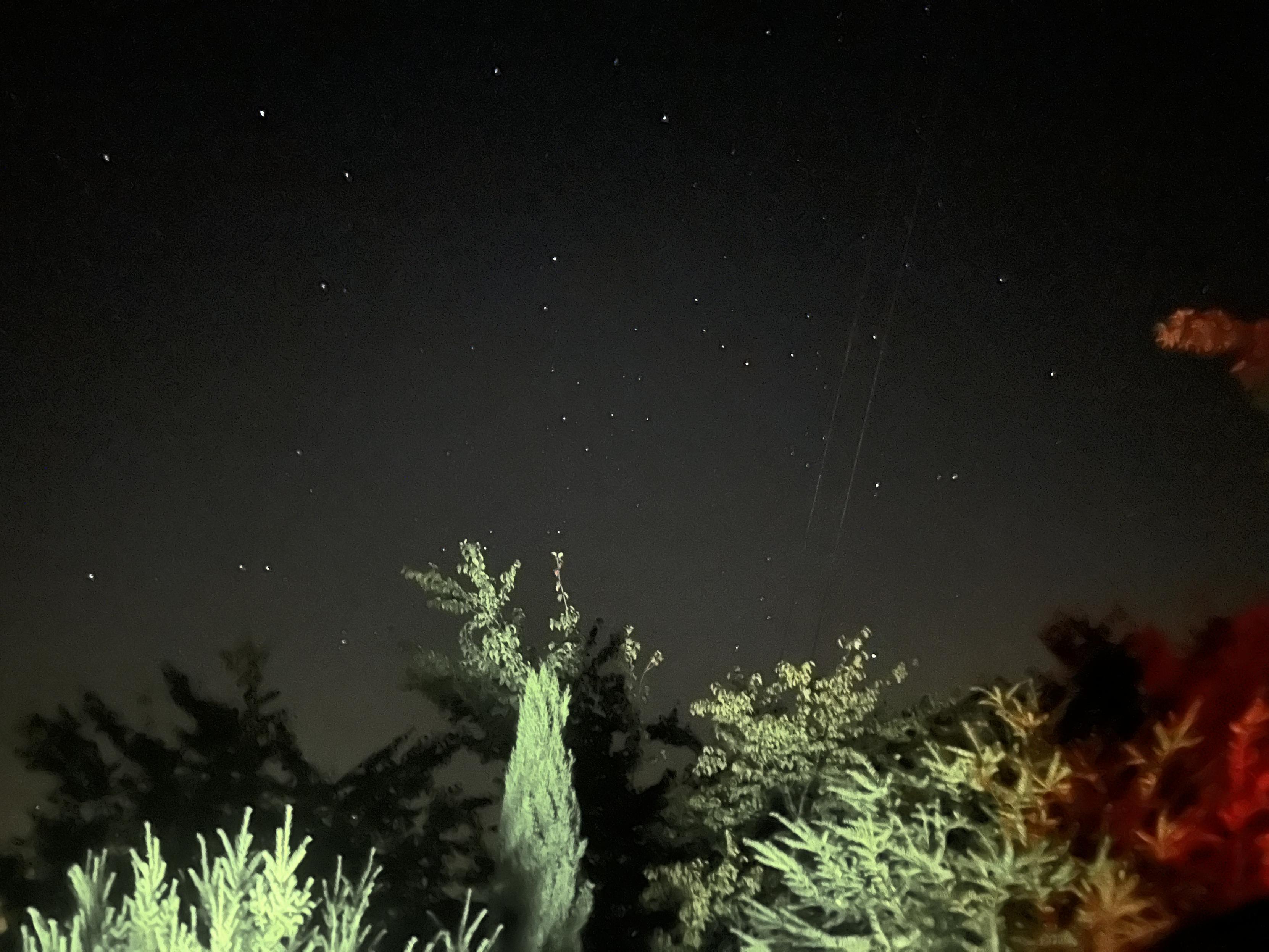Imagen nocturna, copas de coníferas iluminadas por luz vehicular, contra un cielo oscuro, estrellado, misterioso.