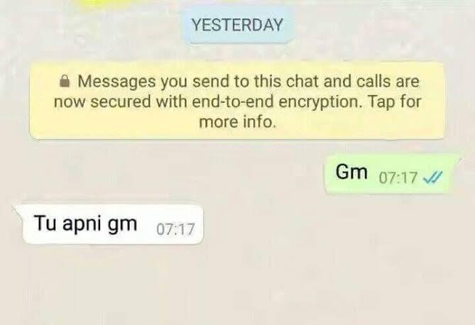 A screenshot of a WhatsApp chat. A green message bubble on the right side contains the text "Gm" with two blue checkmarks. A white message bubble on the left side contains the text "Tu apni gm."