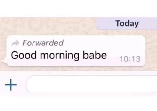 A screenshot of a WhatsApp chat. At the top, a header contains the word "Today". Below this, a single message bubble displays a small arrow icon, the word "Forwarded", the text "Good morning babe."