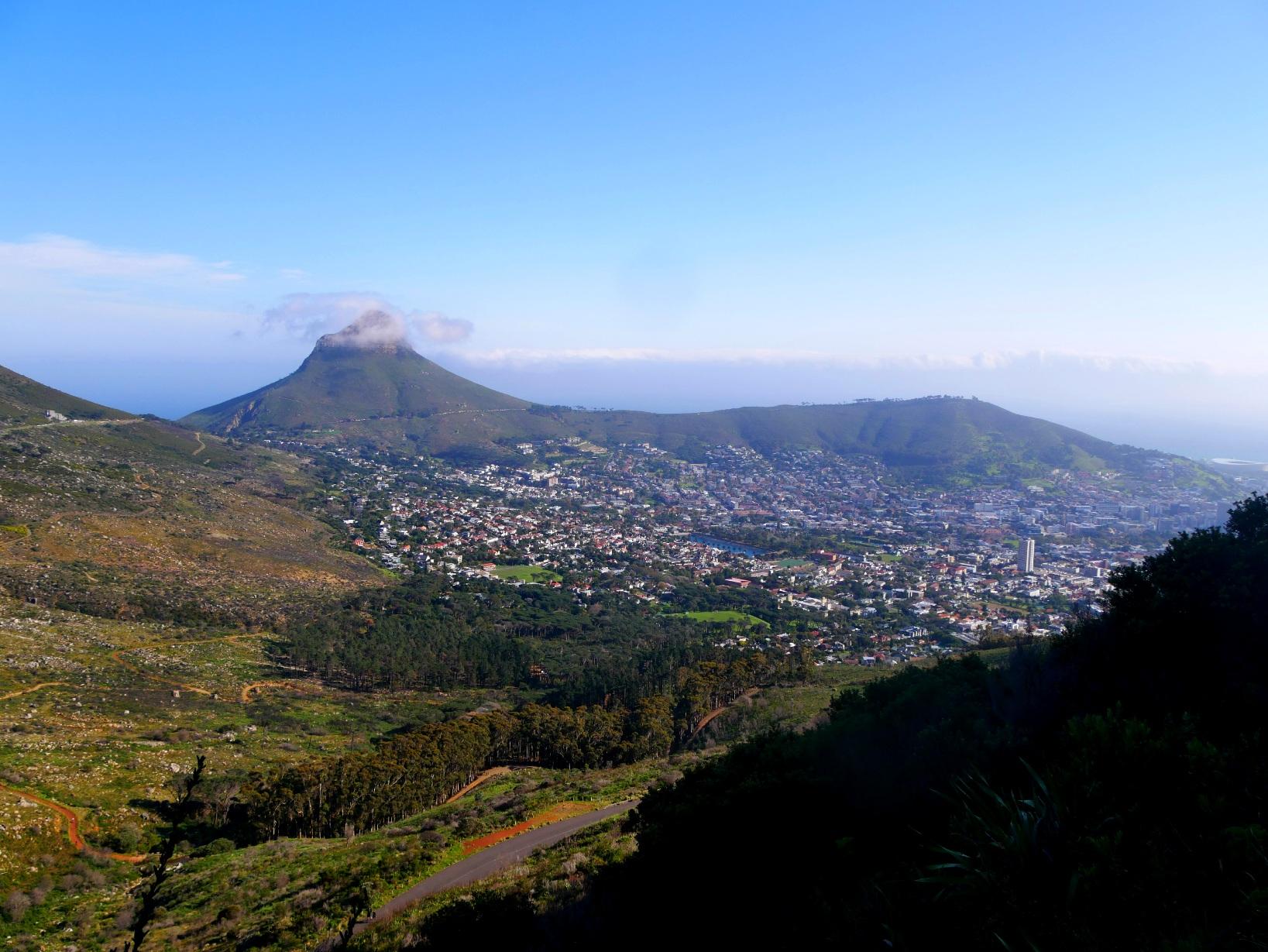 Der Blick fällt auf den Lionshead über Kapstadt. Wolken sammeln sich an seinem Gipfel. Die Vegetation ist grün da Frühling herrscht. An allen Ecken sind Protea verschiedener Arten wild zu finden. Die Wanderwege unterhalb des Tafelberg sind traumhaft schön aufgrund der Vegetation und des einzigartigen Panorama. Südafrika 2022