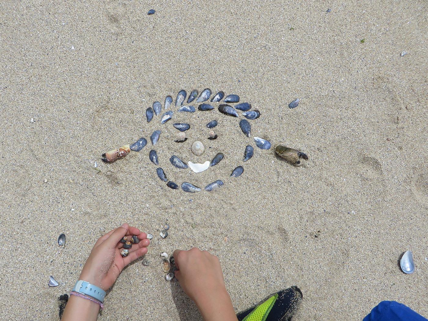 dessin d'une tête dans le sable avec des coquilles de moules et des pinces de crabe