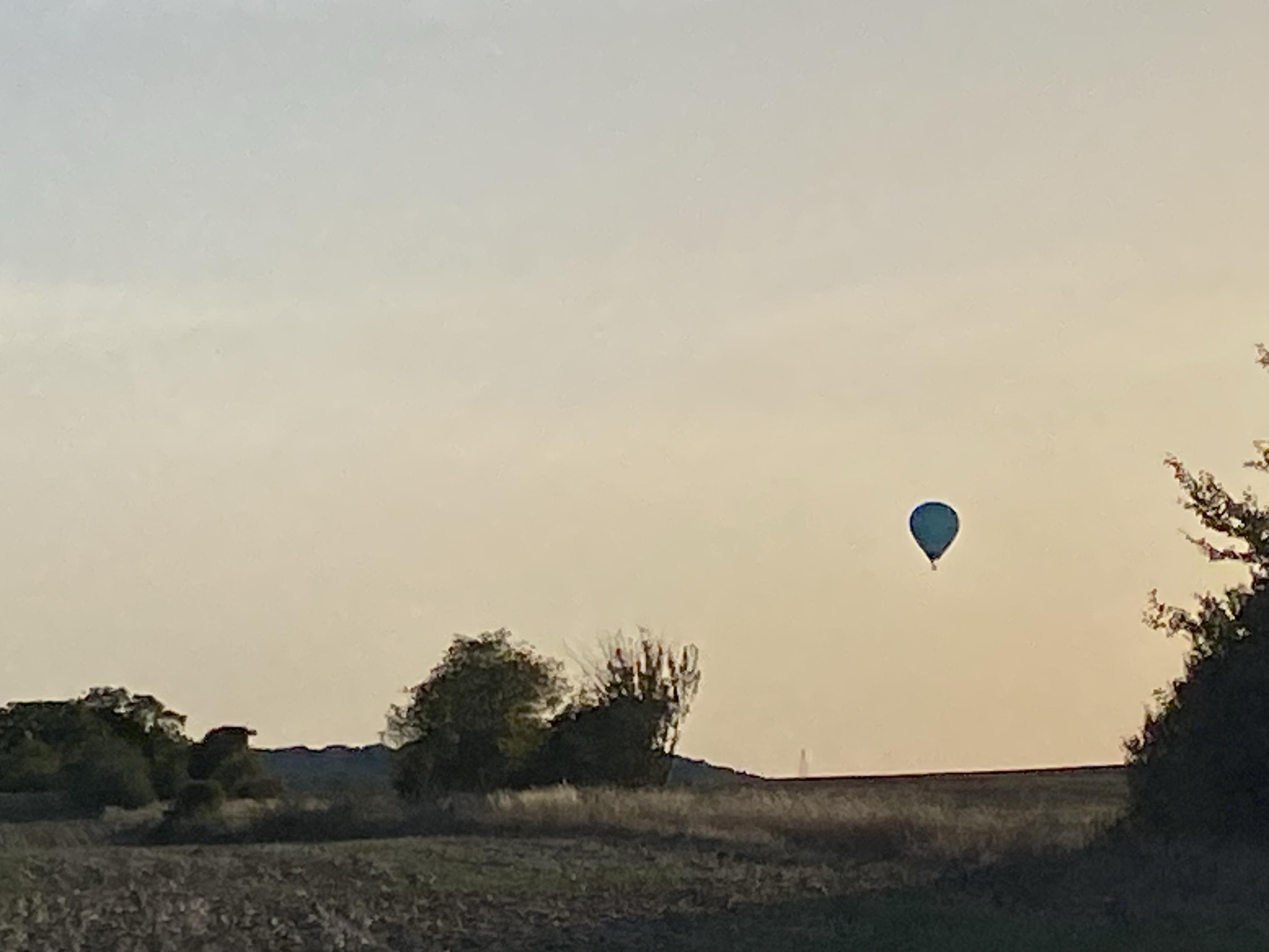 Evening sky with a light orange tint, brush and trees on the bottom of the frame and a hot air balloon in silhouette on the bottom right hand side about 1/4 up the frame.