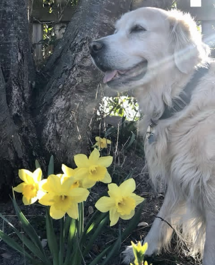 Posted media