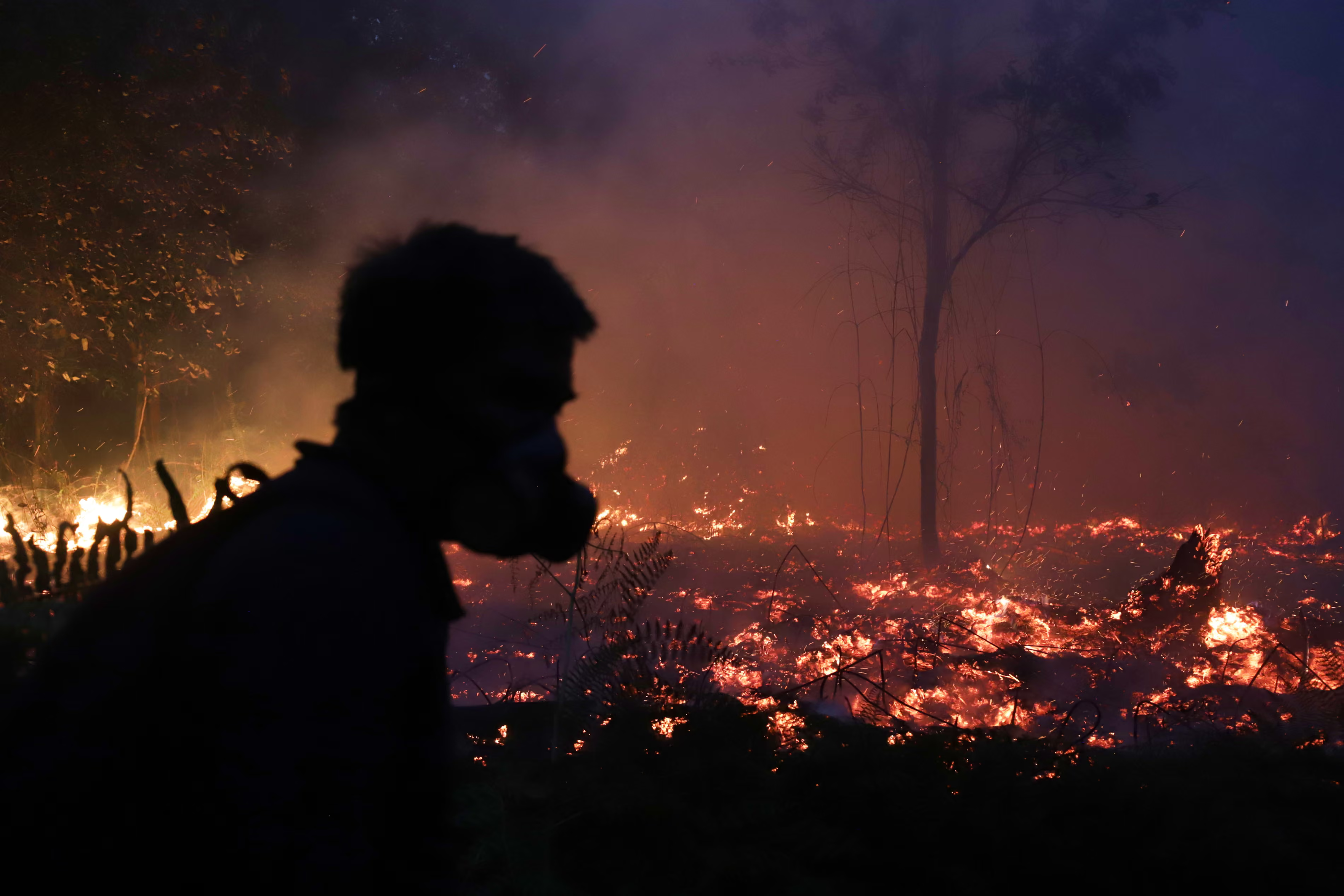 Peatland forest fire.
