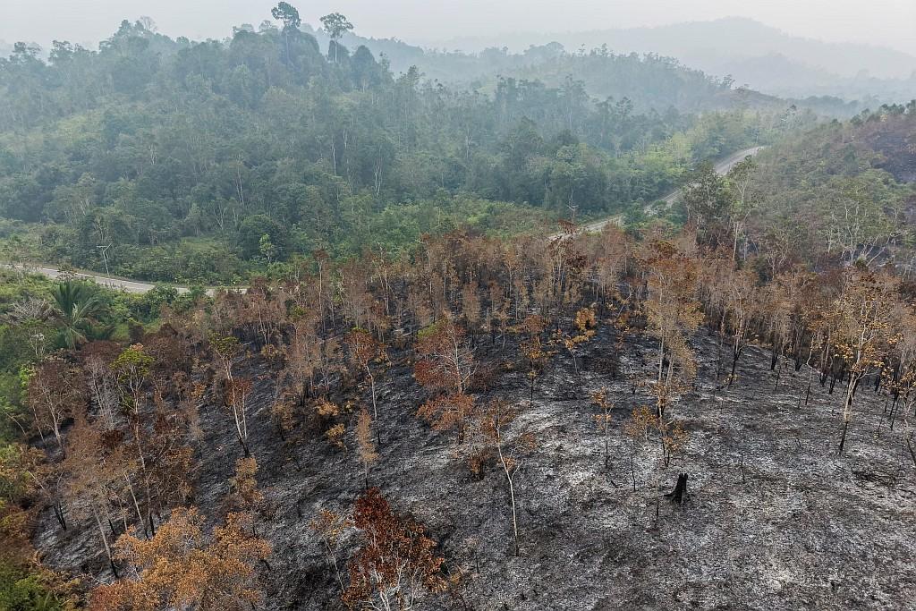 Wildfire aftermath.