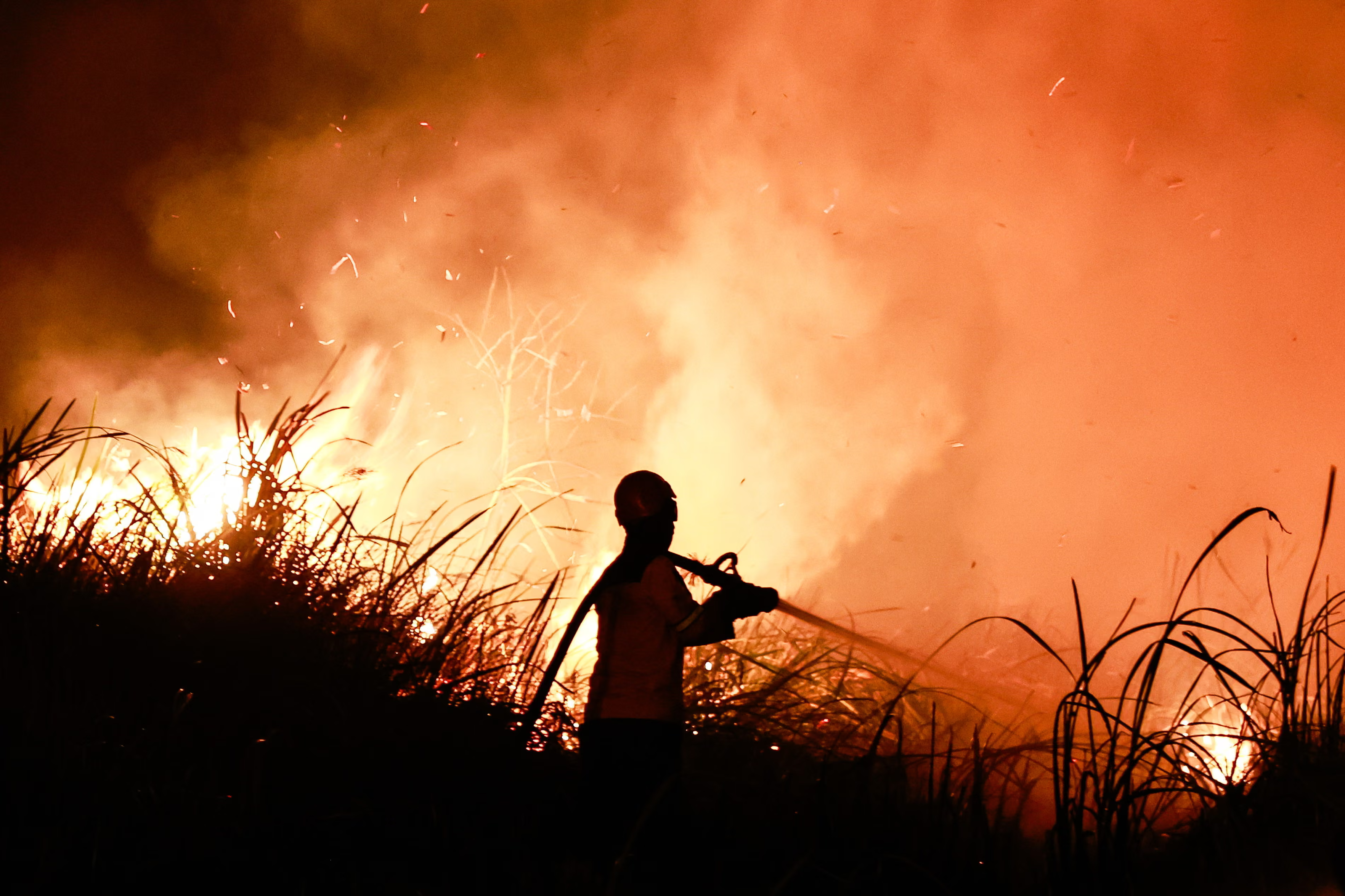 Firefighter fighting a peatland wildfire.