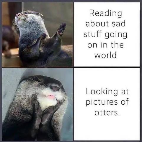 Posted media