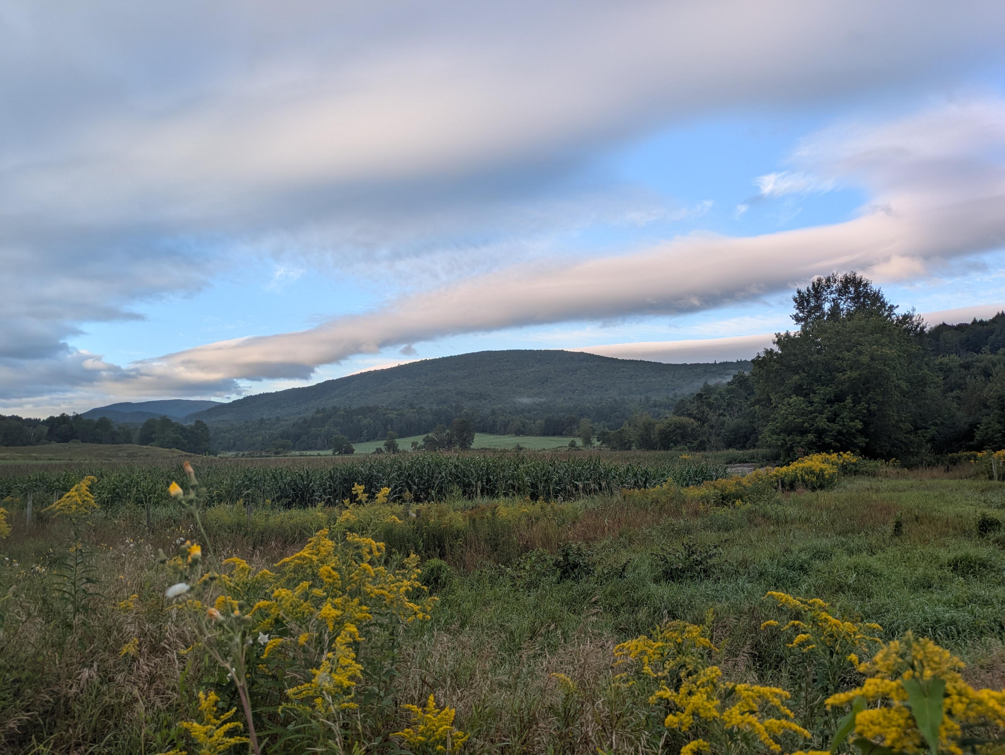 Photo of a rural landscape under a wide sky filled with low-hanging, layered clouds and gently rolling hills in the background. In the foreground is a meadow filled with green grasses and clusters of yellow wildflowers. Behind that is a large green farm field that stretches across a valley floor, with scattered groves of trees. In the background, a long, rolling forested hill spreads along the horizon under  a blue sky. There are elongated, white and gray clouds stretching overhead.