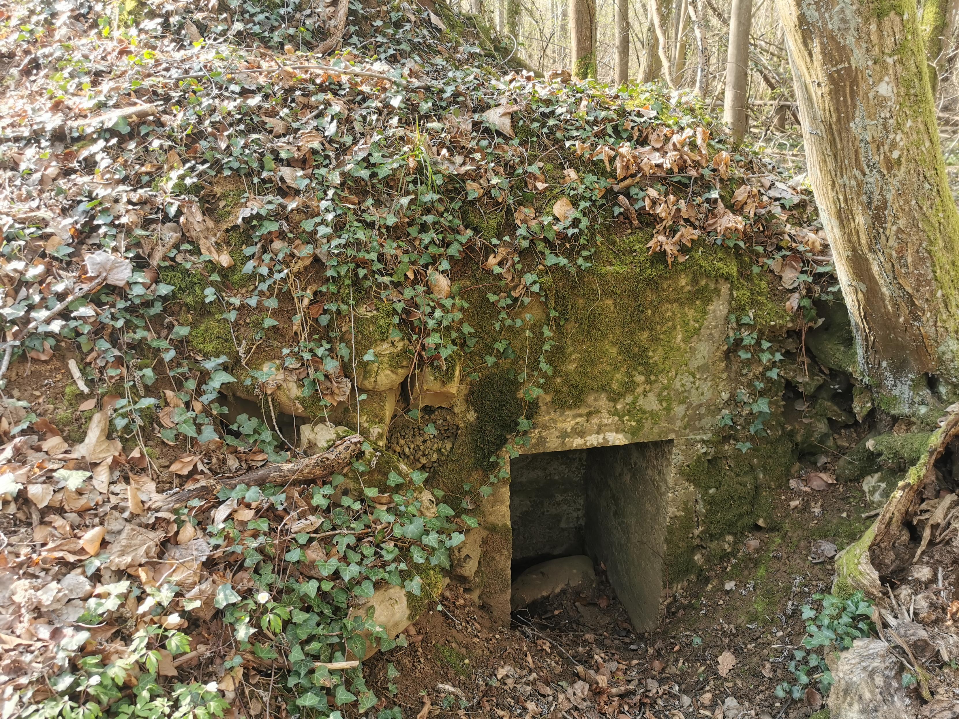Entrée d'un abri d'artillerie de la Première guerre mondiale en forêt.