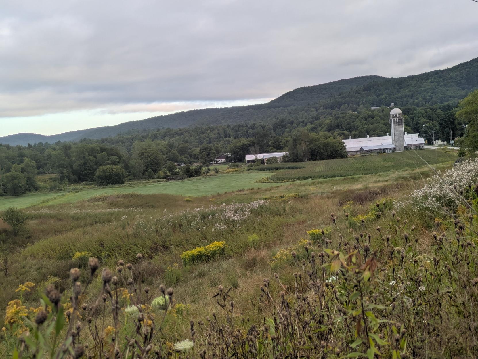 Photo of a farm nestled between a meadow and farmland and heavily forested, low, rolling mountains. The foreground is a gently sloping a hillside filled with dry, tall wild grass and wildflowers. Behind that is a green pasture and farm fields stretching out across the valley bottom. The fields are in front of several farm buildings, including a long white barn and a tall, light-colored silo with a rounded dome. Behind are forested green hills and low mountains that extend across the horizon. The sky is covered with light gray clouds.