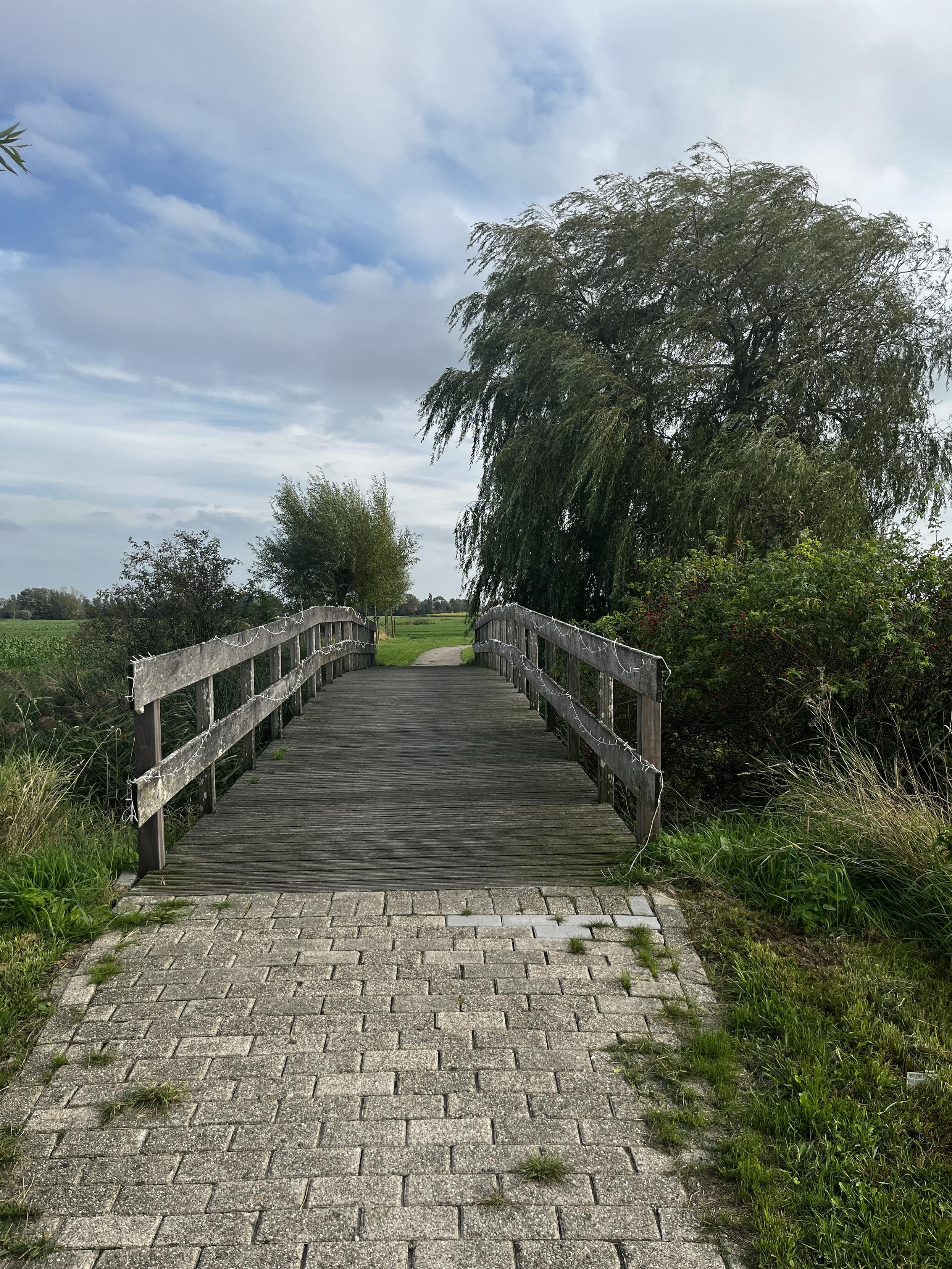 Wooden bridge, a cobblestone path leading up to it. To its right, a big green willow. The sky is blue with lots of big white clouds