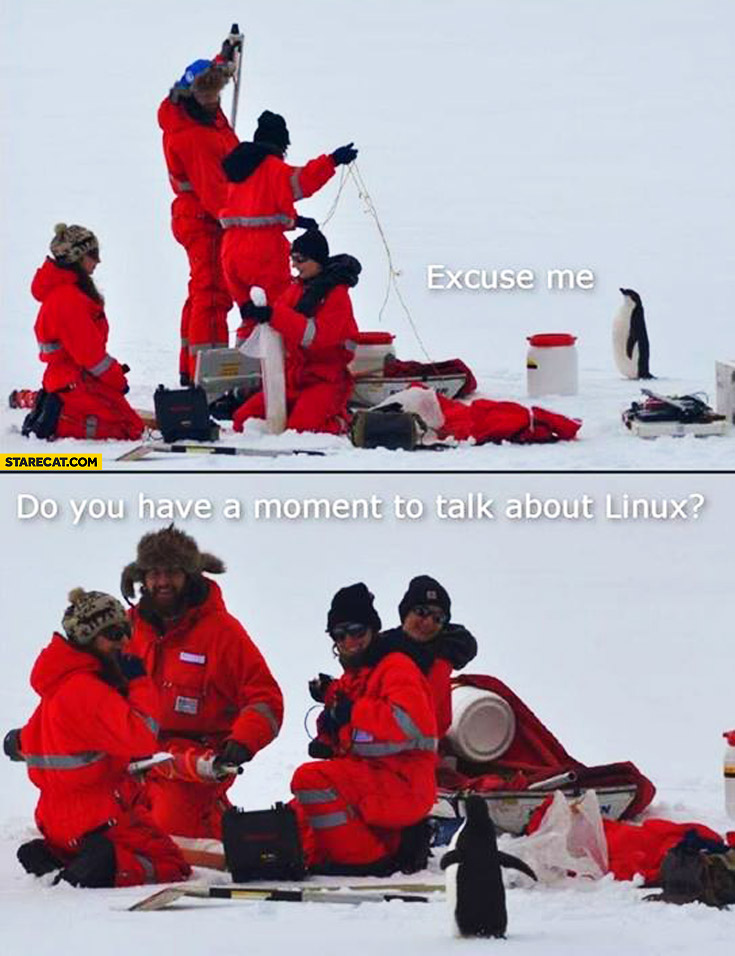 Two photographs, both featuring a team of arctic researchers out in the field and a penguin standing nearby and looking up at them. In the first panel, the penguin says "Excuse me" and in the second (where all the researchers are looking at it) it says "Do you have a moment to talk about Linux?"