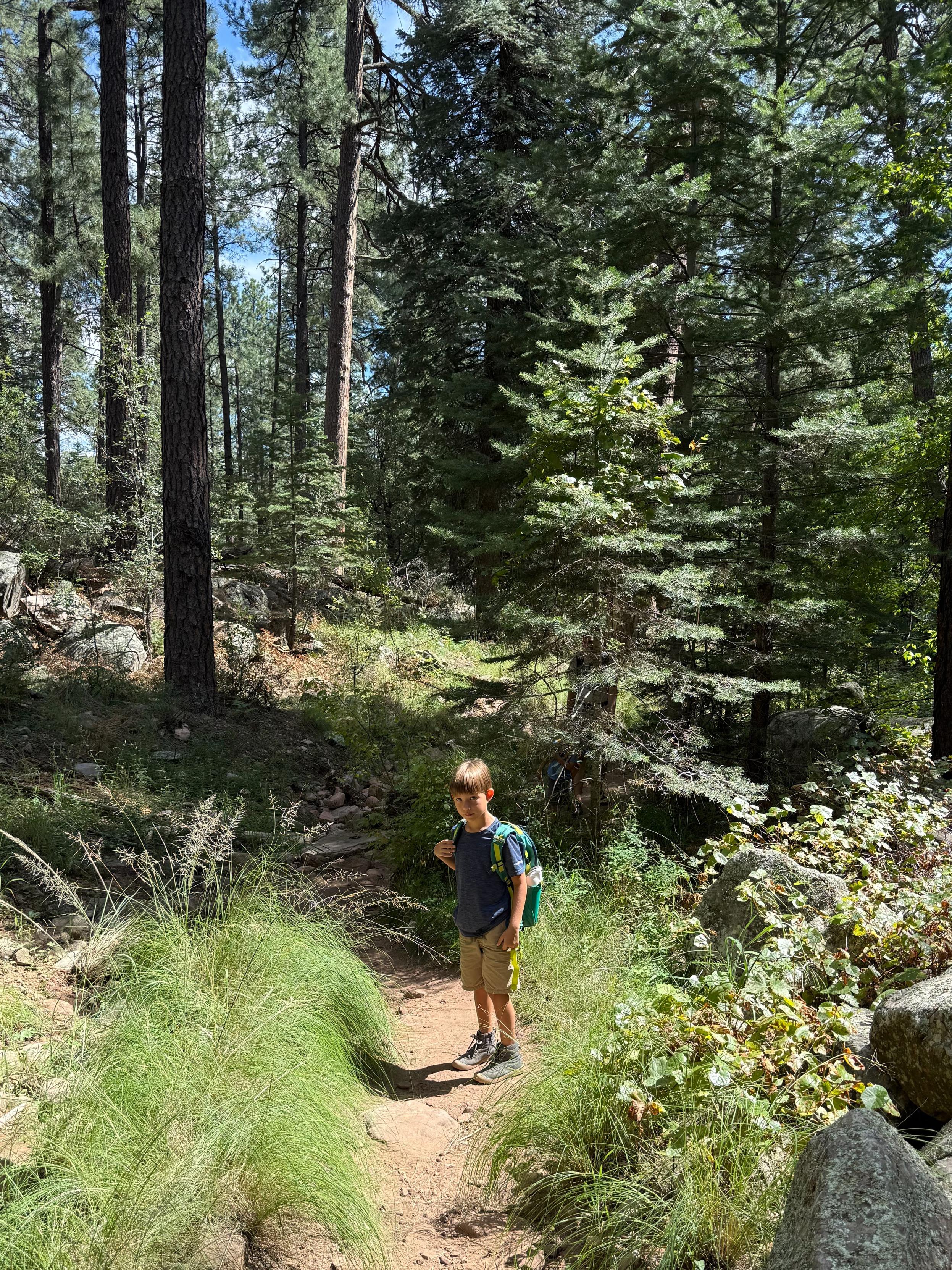 A young hiker on the trail, surrounded by a pine and spruce forest.