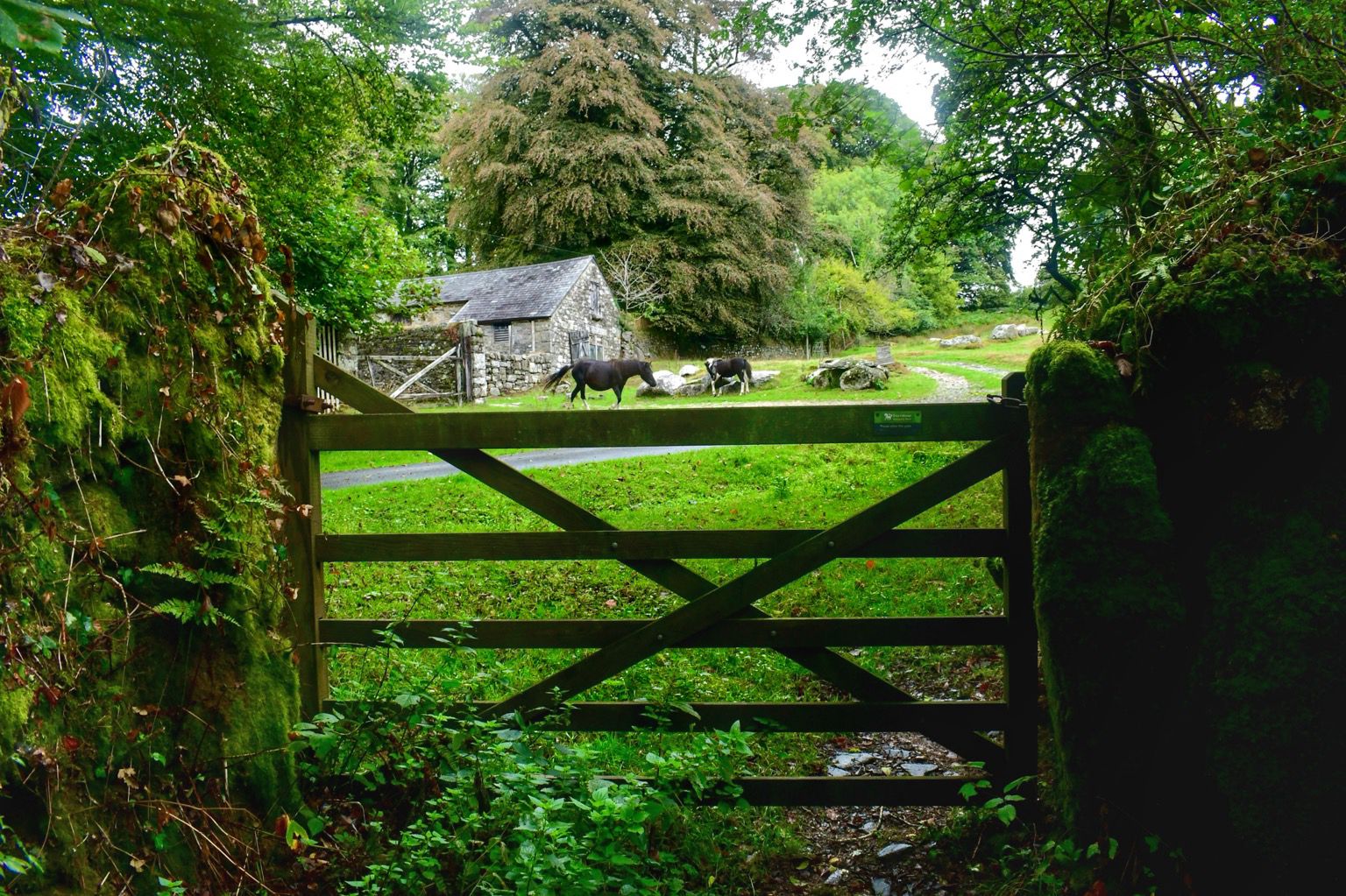 A view through a gate to ponies grazing and stone buildings