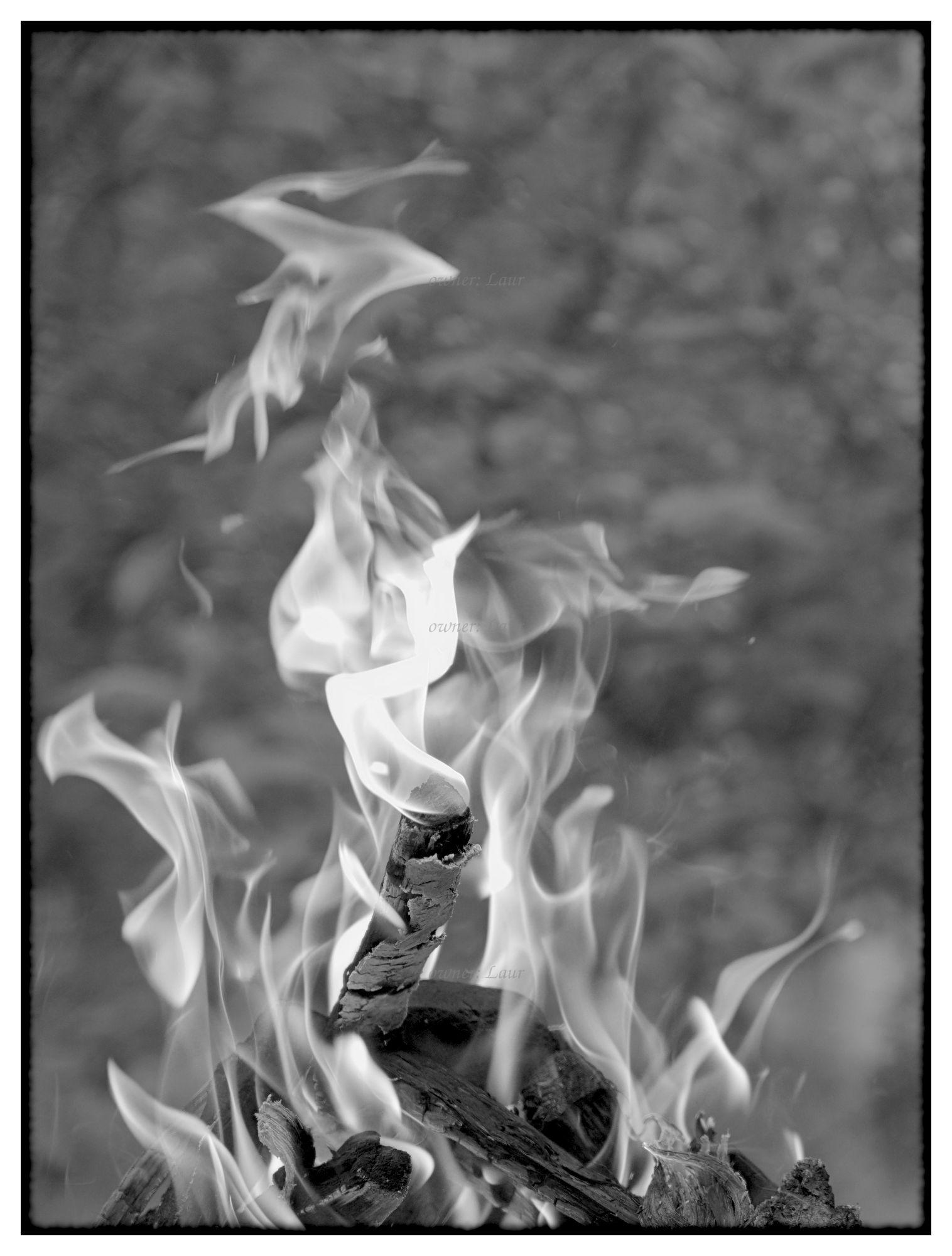 Flames, monochrome, photo