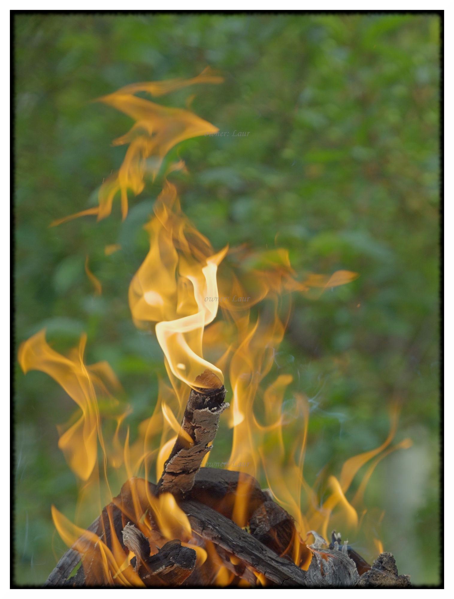 Flames, color, photo