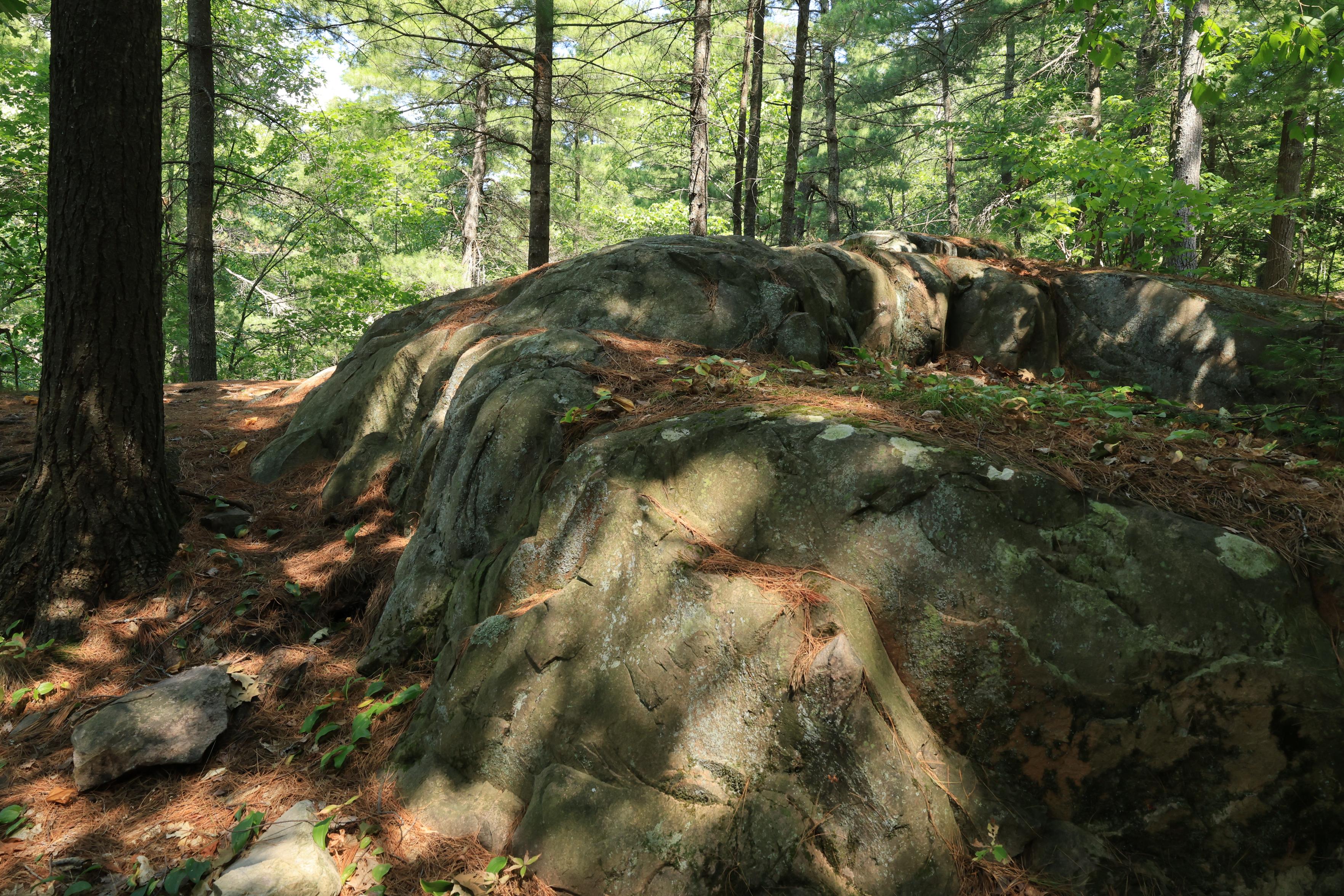 This is a landscape photo (taken in the summer) of a smaller rock formation in a forested wilderness campground area. A mix of deciduous and coniferous trees can be seen in the background. It was a sunny day so shadows can be seen on the ground which is blanketed in pine needles.