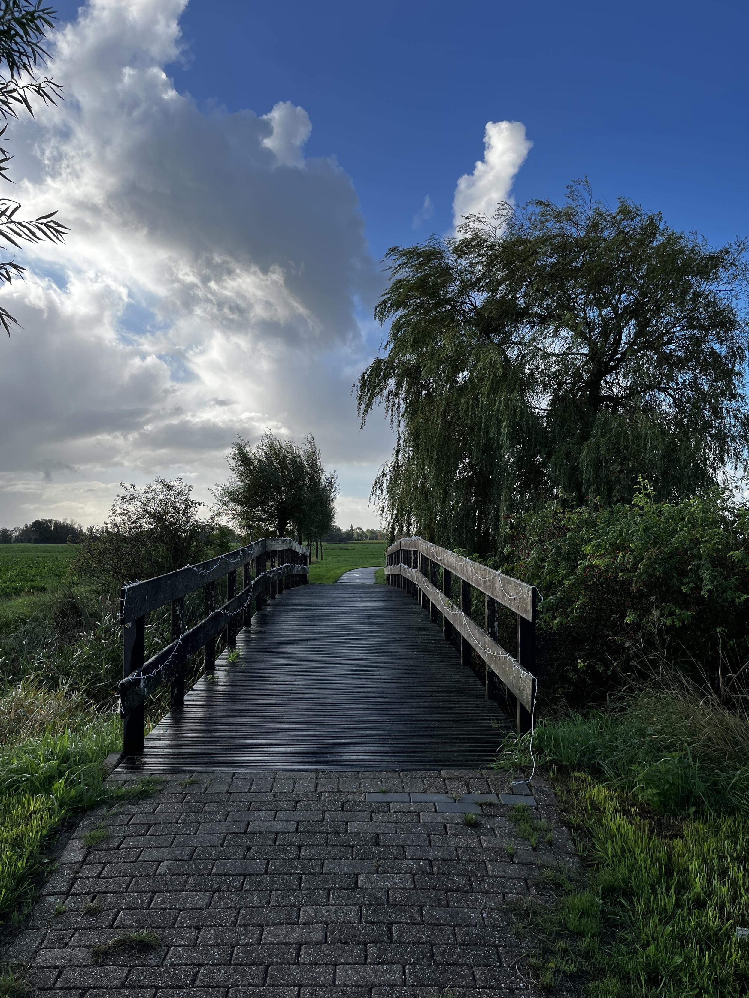 Wooden bridge, a cobblestone path leading up to it. The bridge is wet because it had rained a lot. The sky is deep blue with white clouds