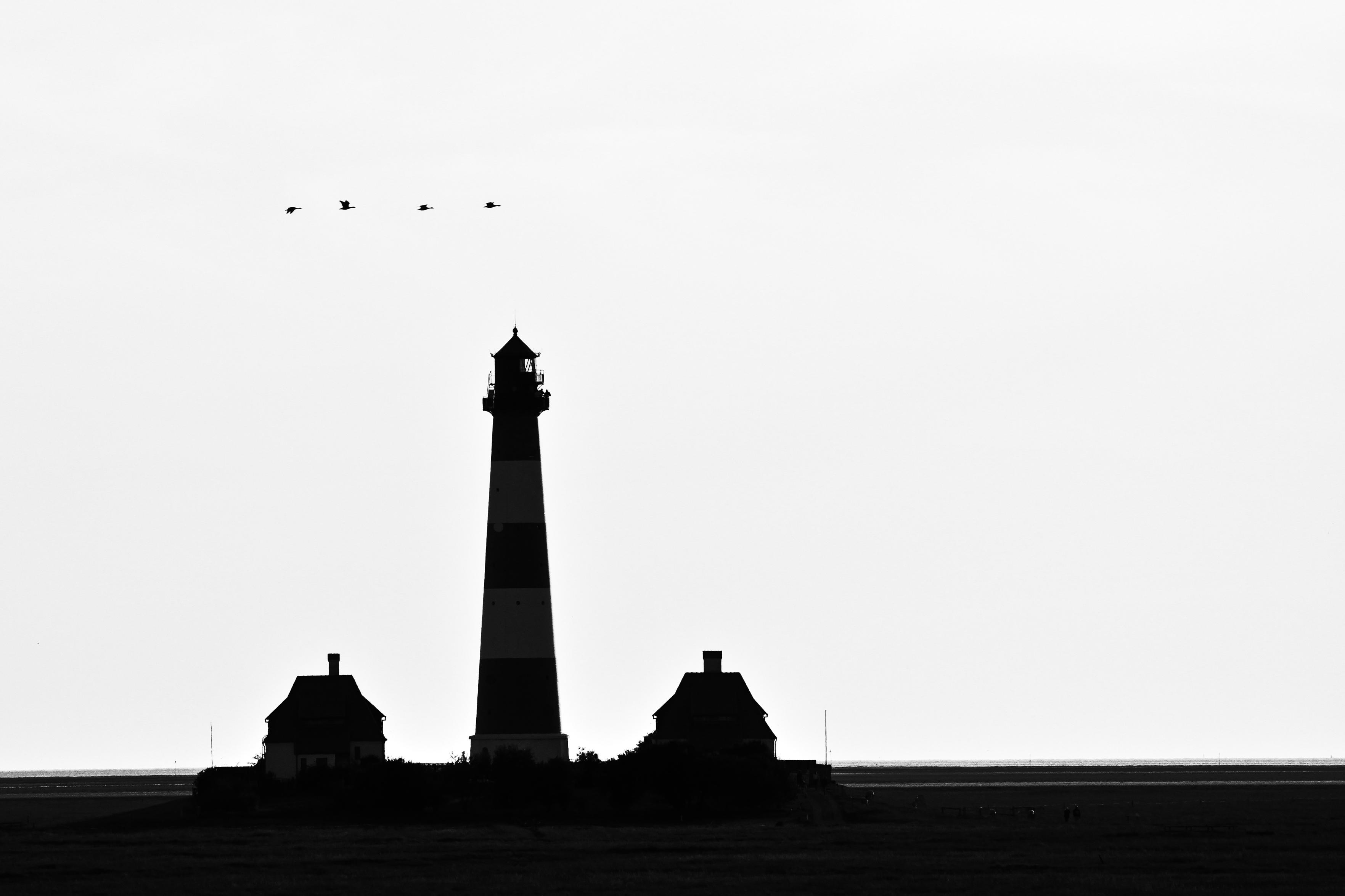 Schwarzweiss-Foto des Gebäude-Ensembles Leuchtturm Westerhever am Rande der Halbinsel Eiderstedt in Schleswig-Holstein. Durch das Gegenlicht der Sonne erscheinen die Gebäude fast vollständig als Silhouetten. Vier Wasservögel fliegen gerade über dem linken Haus und dem Leuchturm darüber hinweg von links nach rechts.