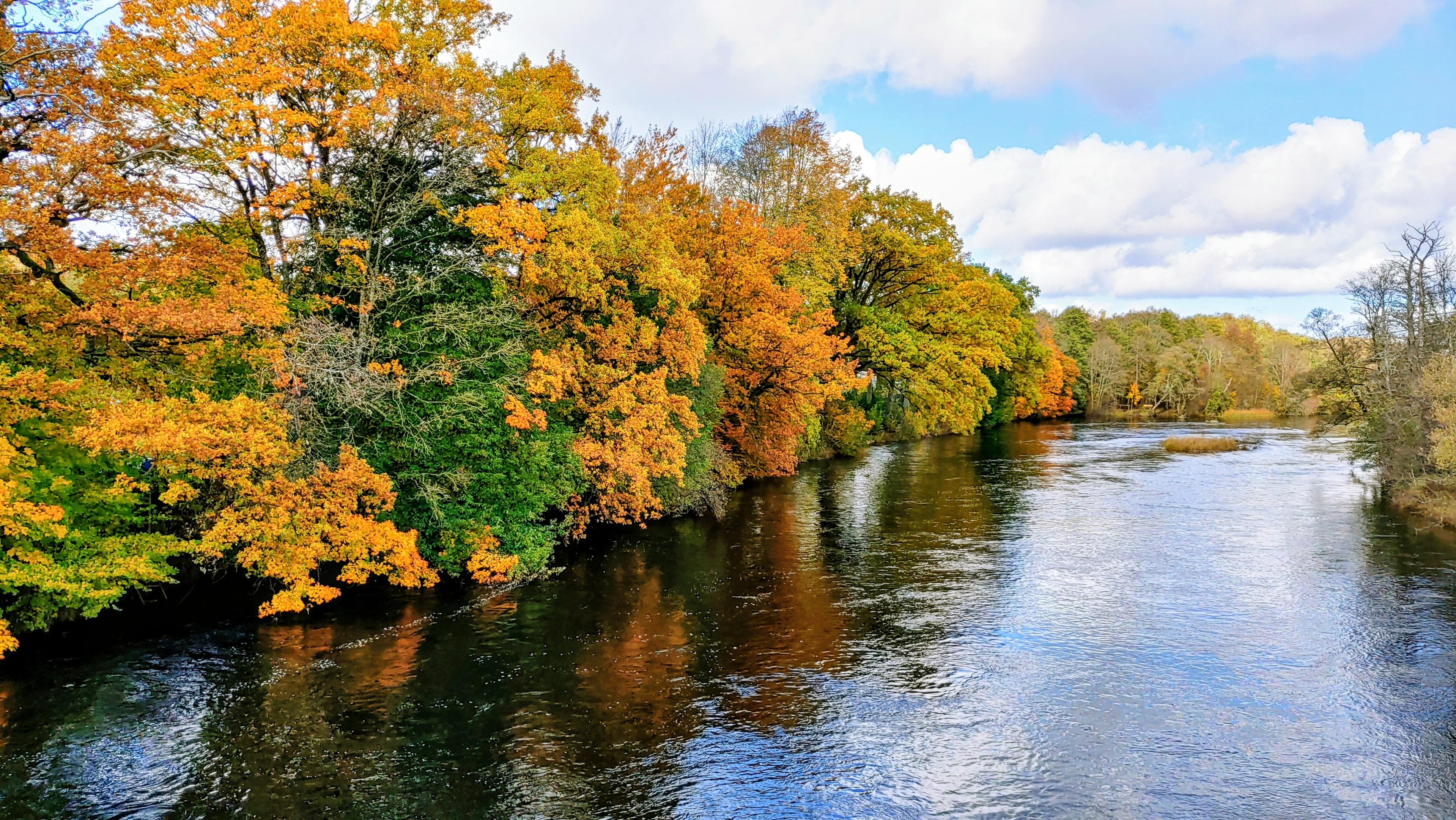 Der Blick geht über einen Fluss. Auf dem linken Ufer stehen große Laubbäume. Die meisten Bäume haben Herbstfarben wie Orange und hellbraun. Nur wenige Bäume sind grün.