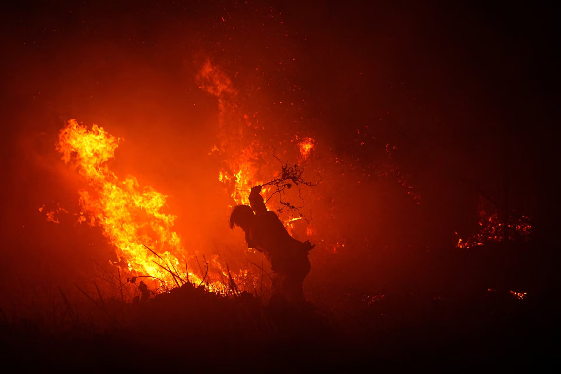 A firefighter uses a tree branch to try and douse the flames.