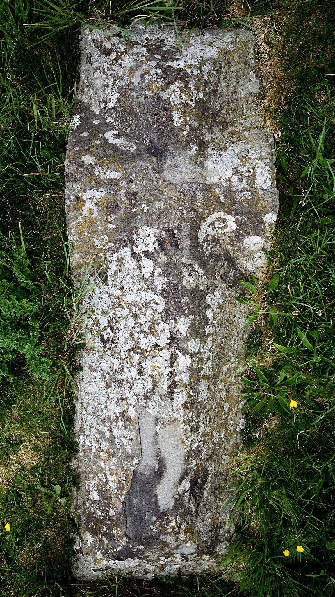 A weathered grave stone lies flat on the ground, partially covered by grass. The stone has a rough texture with patches of lichen and moss. It is surrounded by green grass and a few small yellow flowers.