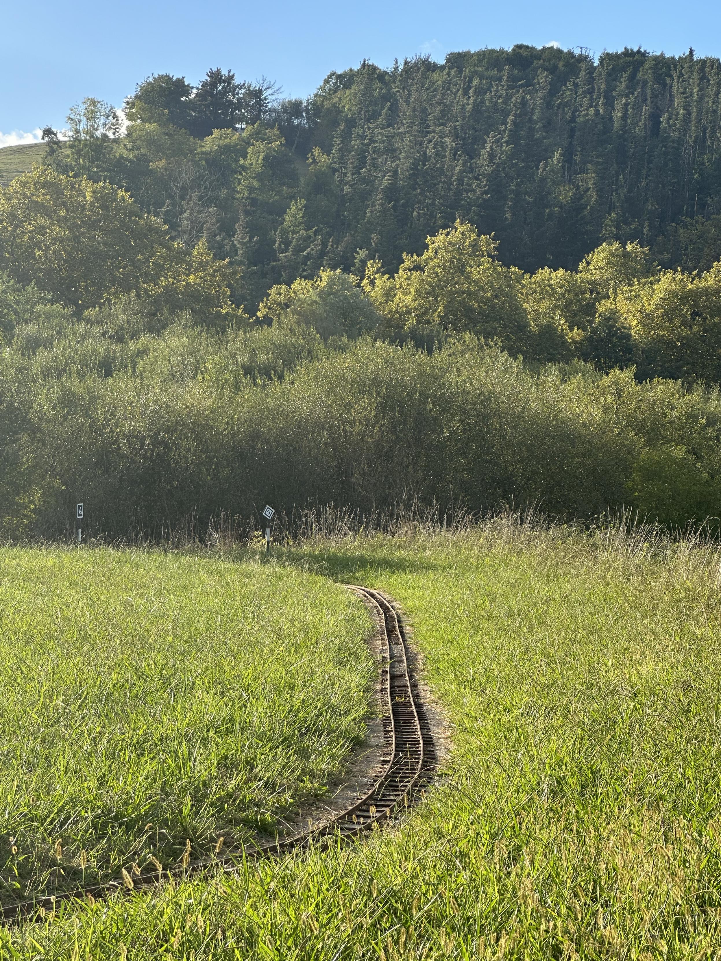 “Una pequeña vía de tren en miniatura se curva a través de un prado de hierba alta hacia una densa pared de arbustos y árboles. Detrás, una colina boscosa más alta bajo un cielo azul parcial. Dos pequeñas señales de tráfico son visibles cerca del borde del bosque. La luz del sol es brillante.”