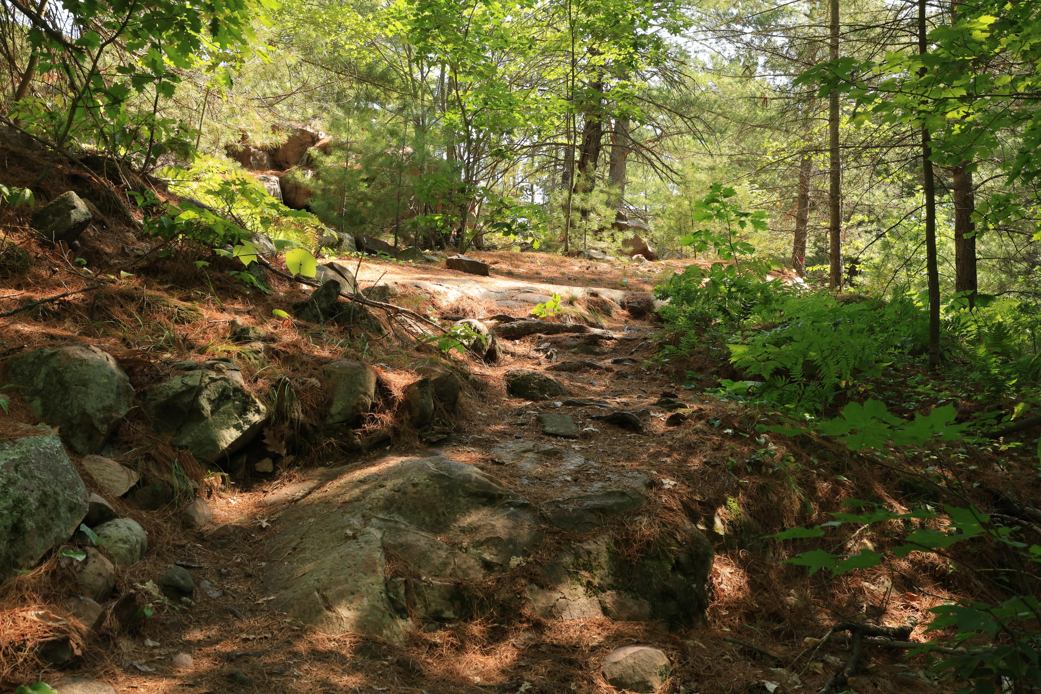 This is a landscape photo taken in the summer along a hiking trail that passes over a rocky area in a forest. It was a sunny day, so shadows can be seen on the rocky trail. The photo was taken looking up a slight incline with a wooded area in the background. Fallen pine needles can be seen over much of the terrain in this area.