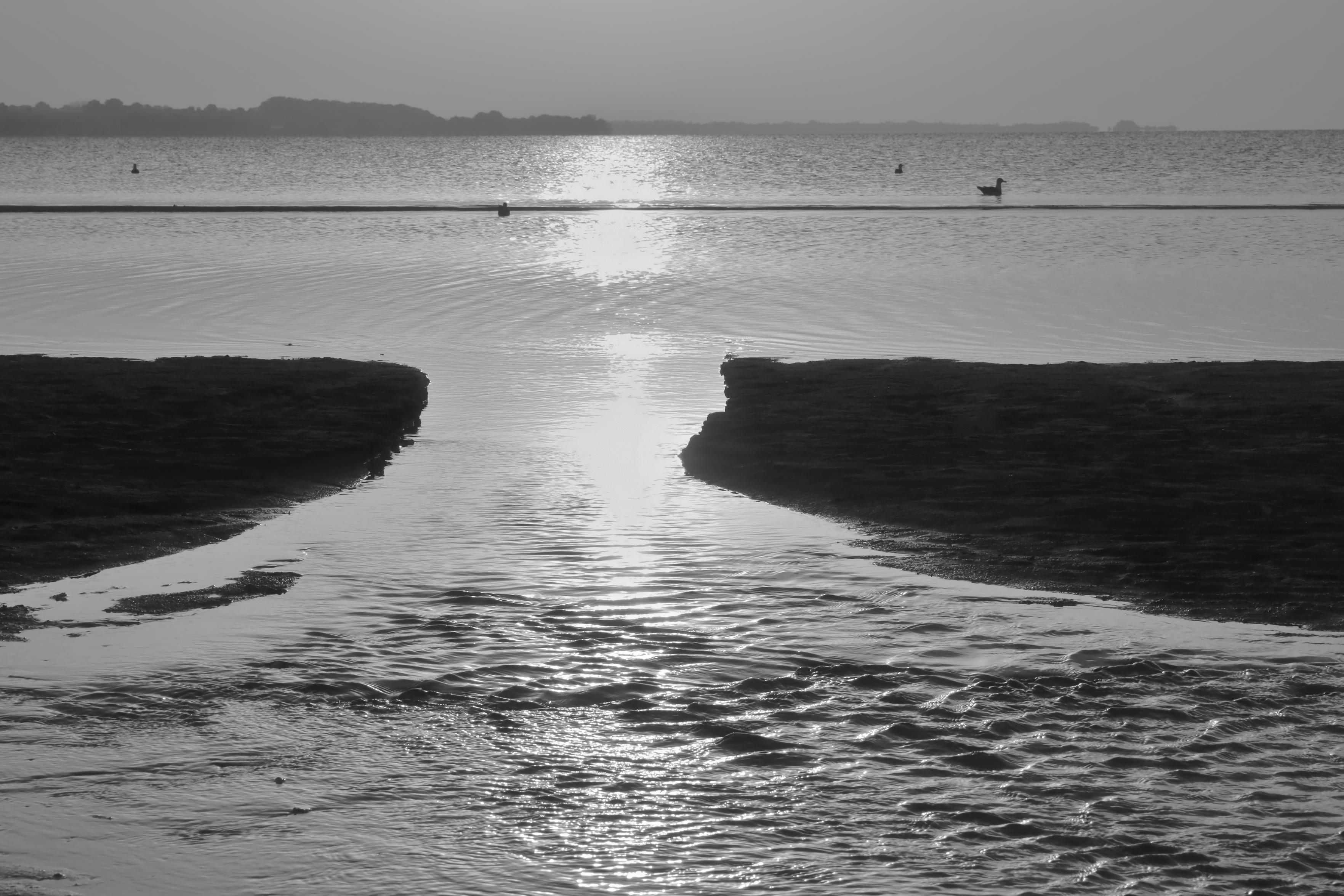 Schwarzweiss-Foto eines Sonnenaufganges an der Ostsee mit einigen Möwen auf dem Wasser. Die Sonne von ausserhalb des Bildes spiegelt sich hell auf dem Wasser in der Bildmitte. Die dunklen Bereich außen links und rechts sind Strand im Gegenlicht und deshlb nur sehr dunkel abgebildet. Aus einem flachen Zwischenbereich des Strandes läuft Wasser zurück in die Ostsee.