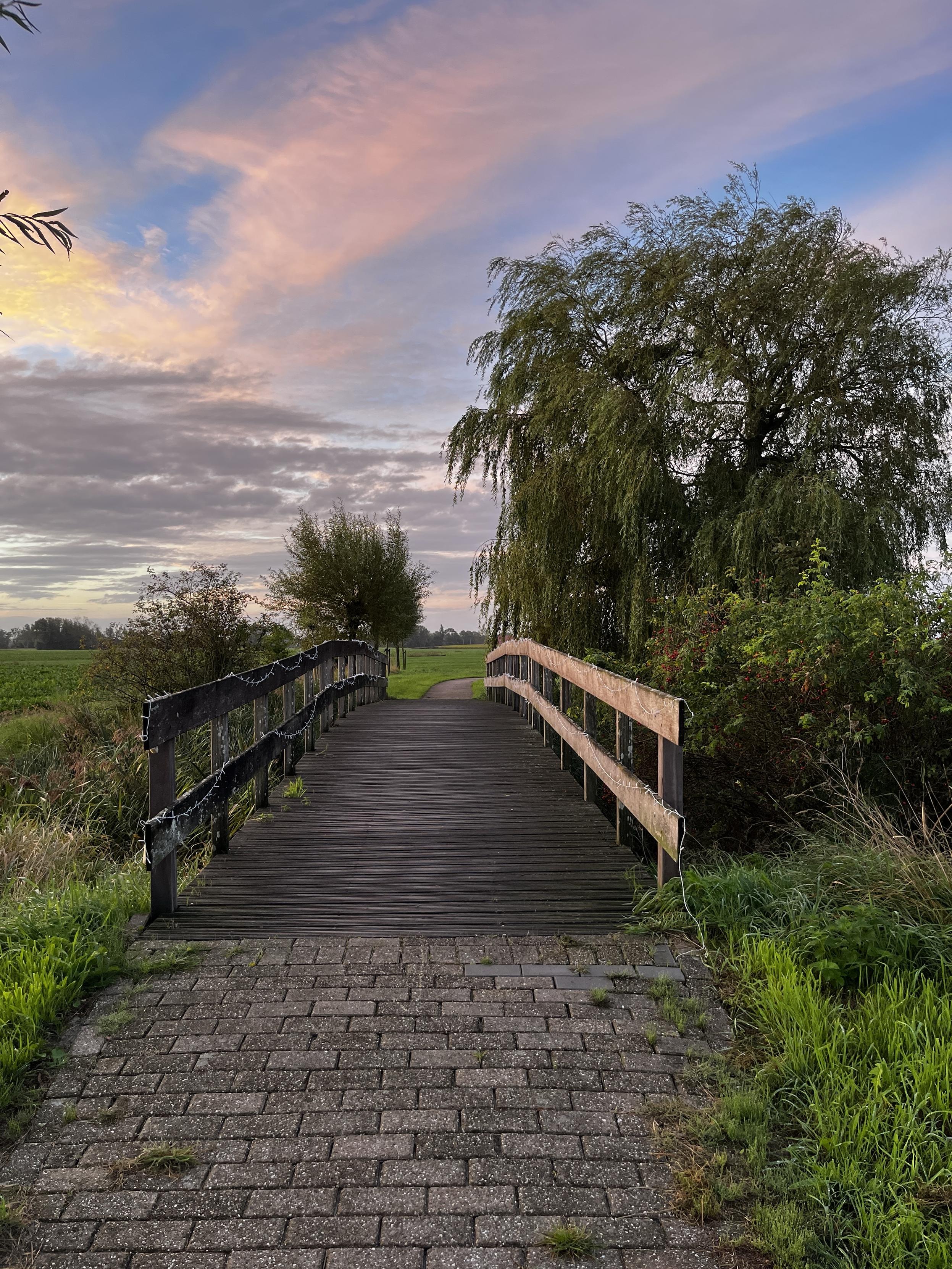 Wooden bridge, a cobblestone path leading up to it. The sky has shades of orange and blue. The sun was rising