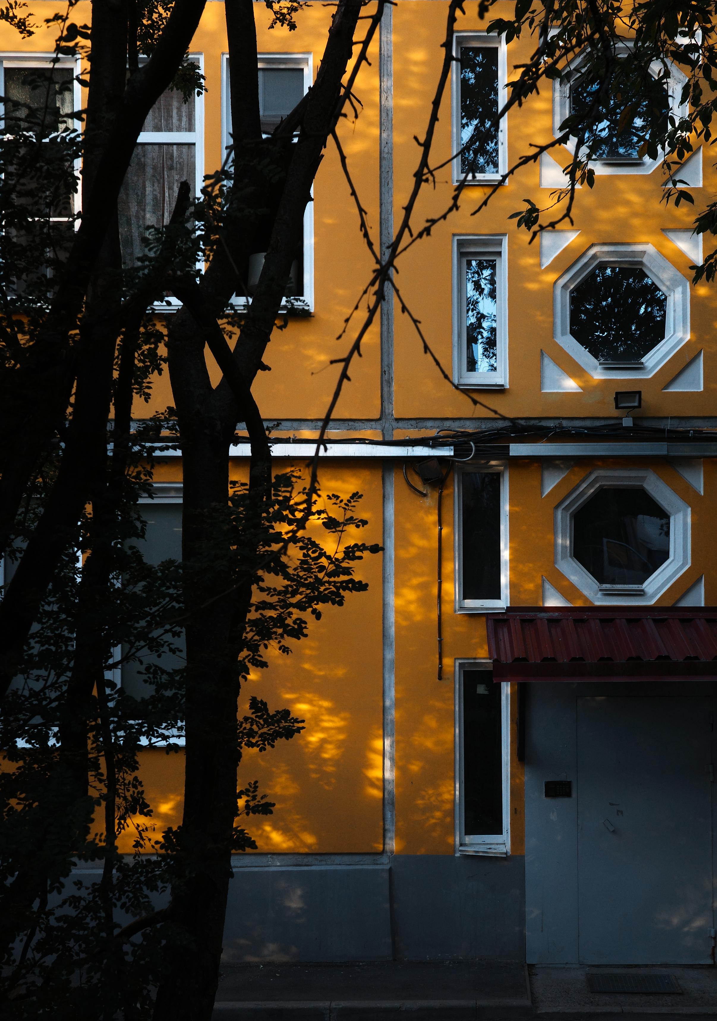 This color photograph captures a fragment of the bright yellow facade of an old building bathed in the rays of the setting sun. The frame is built on sharp contrast: the left and lower parts of the composition are immersed in the deep, almost black shadow of a tree trunk and crown in the foreground. Through this natural "veil," the illuminated facade with unusual windows is visible. The building's special feature is large octagonal windows with white decorative frames, which give the architecture a distinctive, almost fairy-tale appearance. Traces of time and vertical lines of drainpipes are visible on the wall. The image conveys the feeling of a warm evening, the contrast of light and darkness, and the special beauty of old urban architecture.