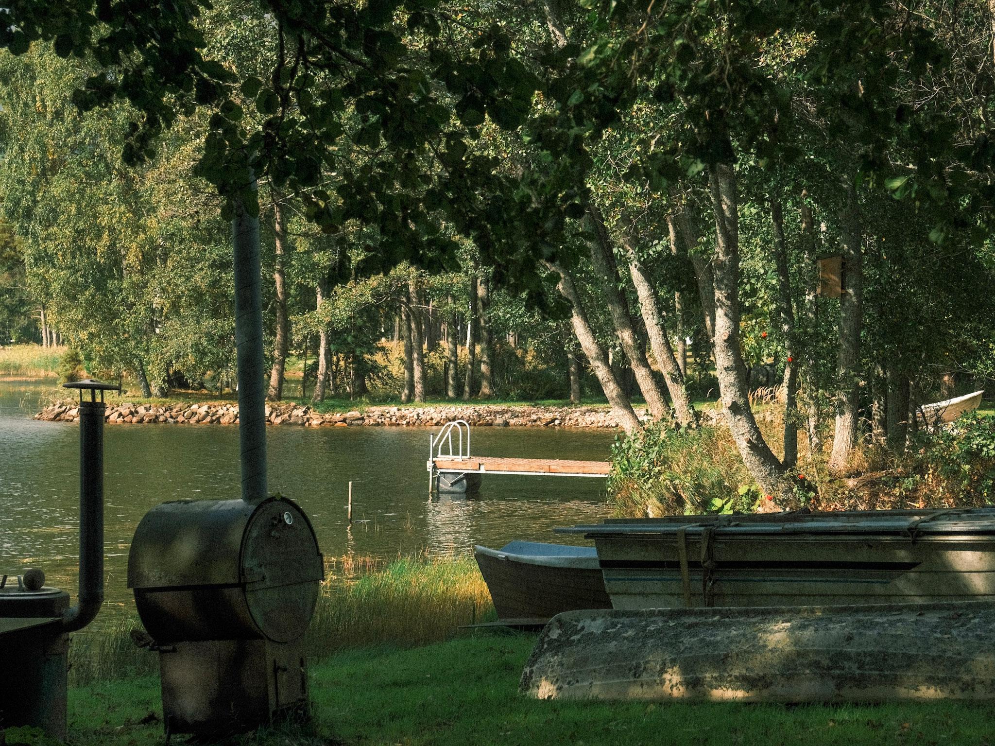 A lake shoreline, surrounded by trees and green grass. At the back, a little pier, and in front, rowing boats and barbecue se