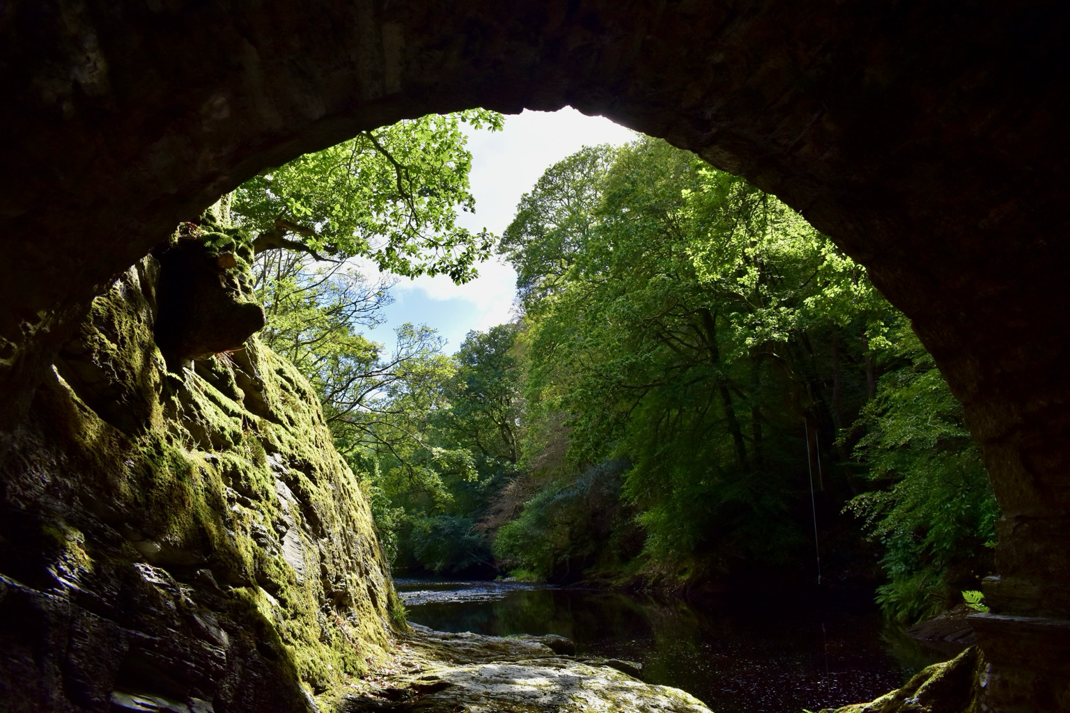 View through bridge