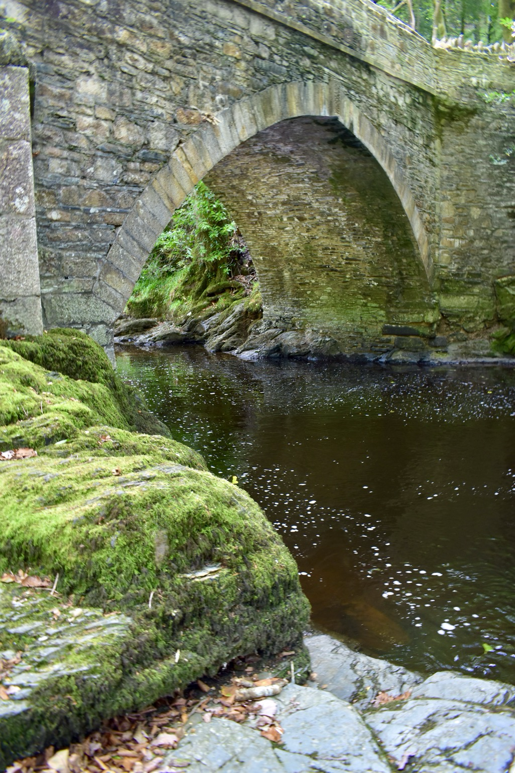 View of bridge and mossy bank.