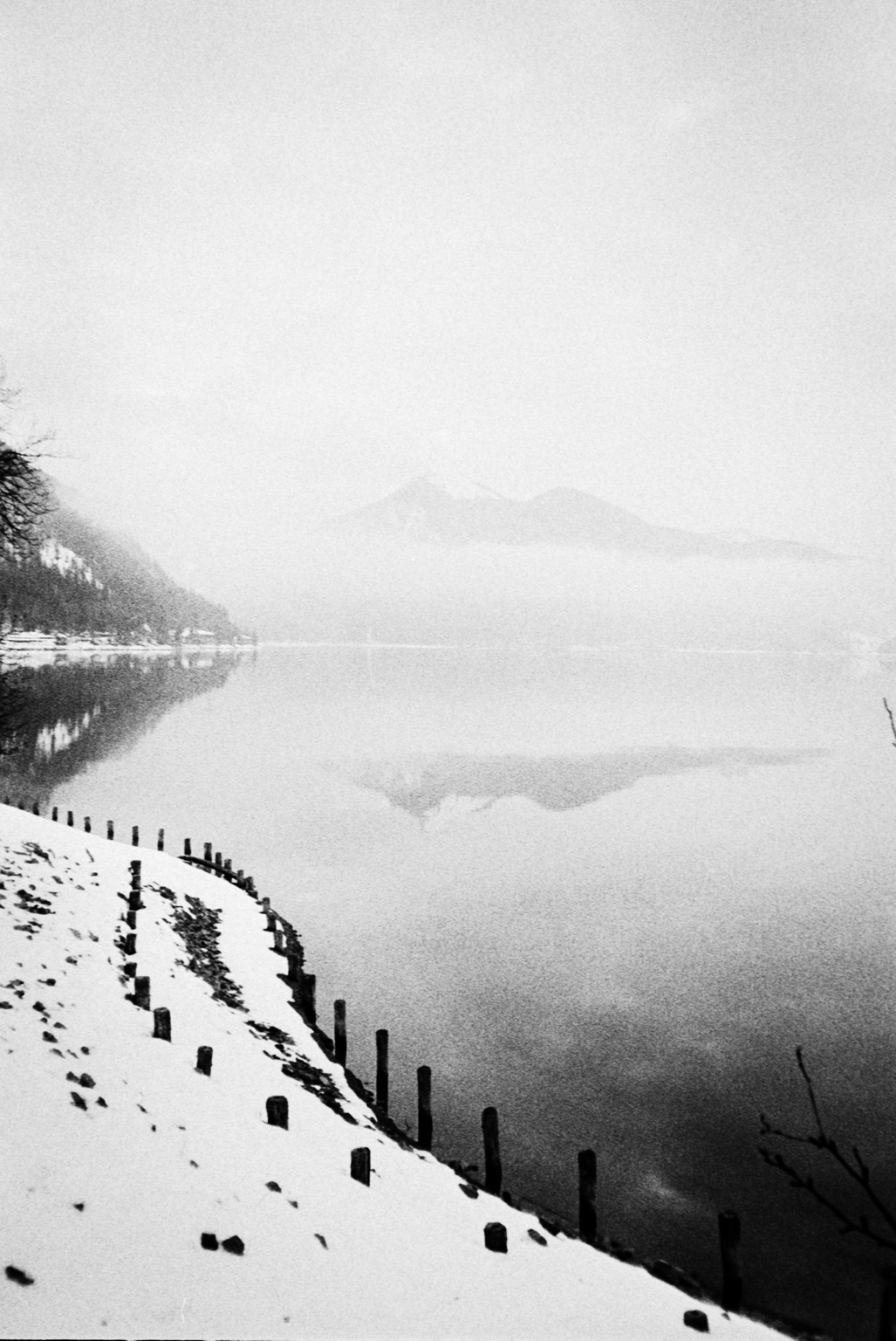 Foggy lake with snow on the shore