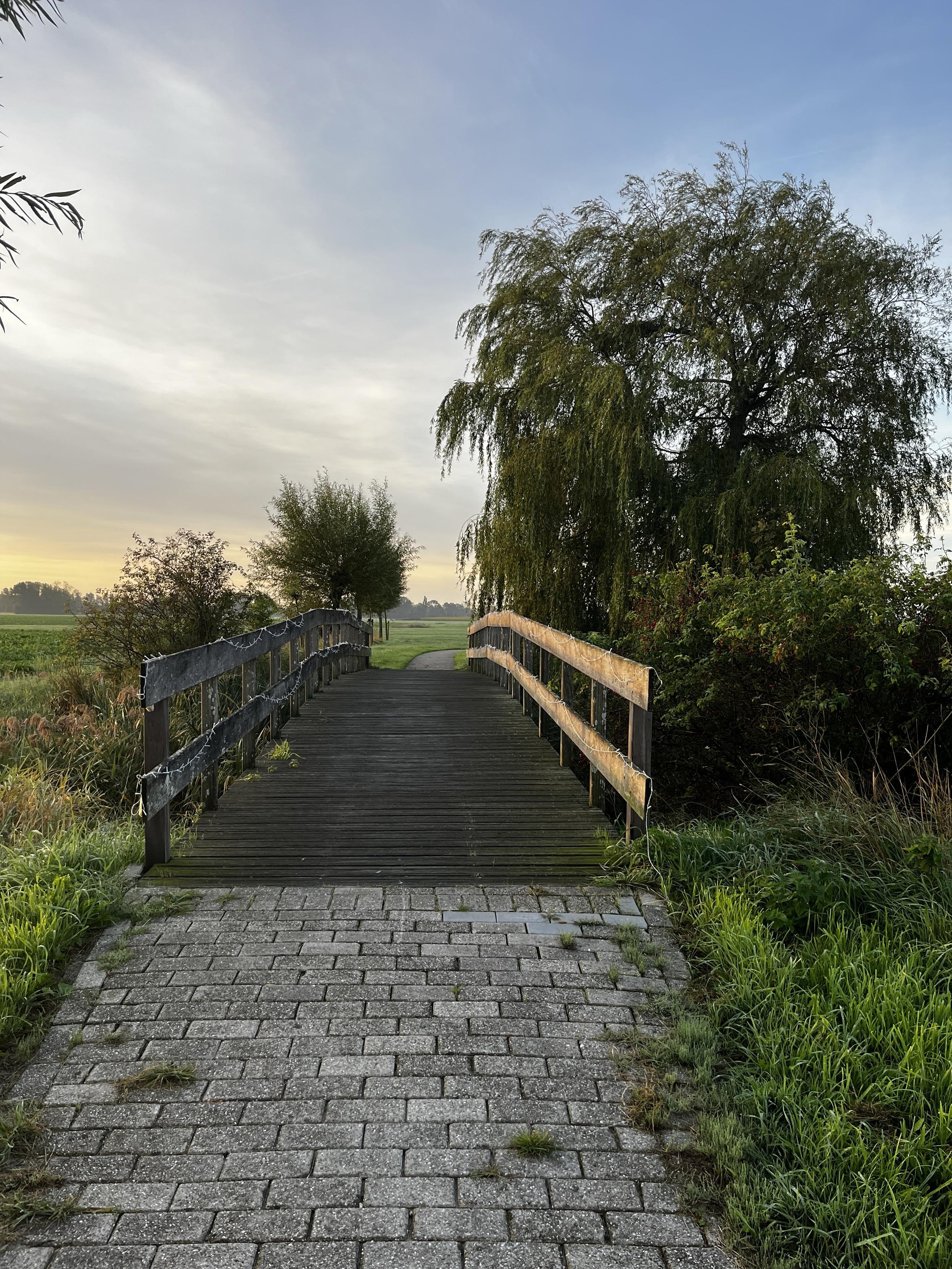 Wooden bridge, a cobblestone path leading up to it. To the right, a big willow. The sun is rising from the left, leaving a yellowish hew over the horizon. The sky is light blue and white
